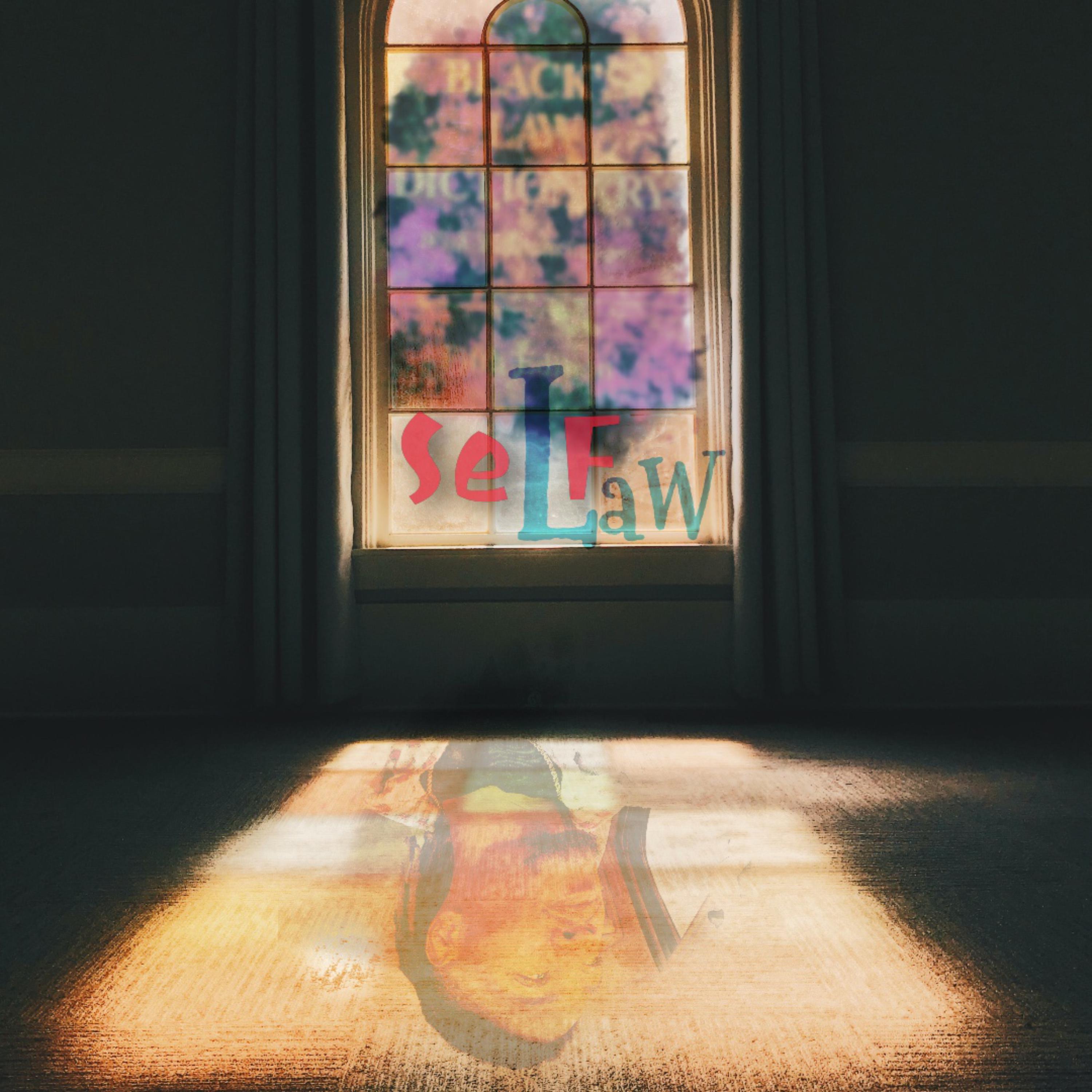 Self Law artwork
