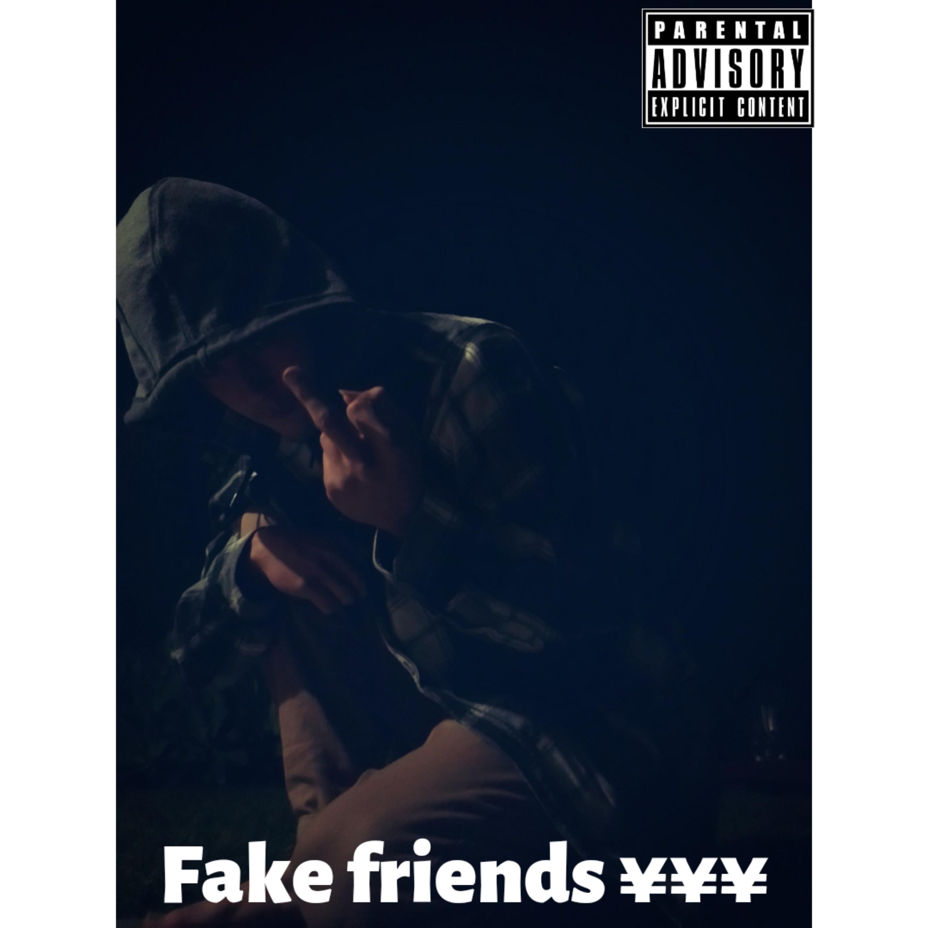 Fake Friends  artwork