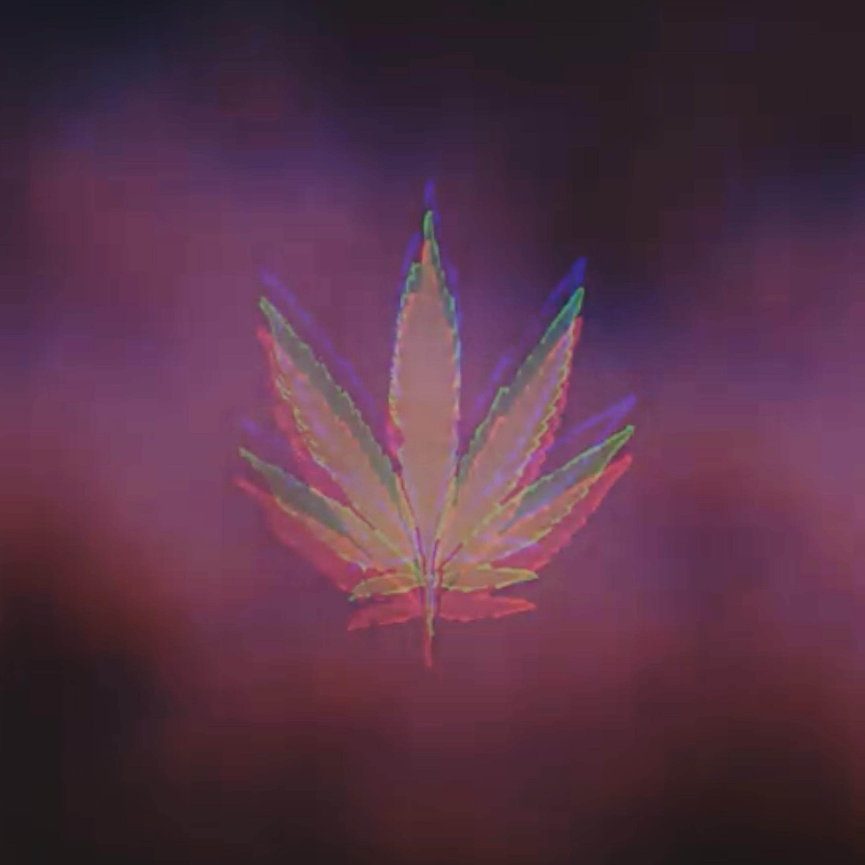 Plant artwork