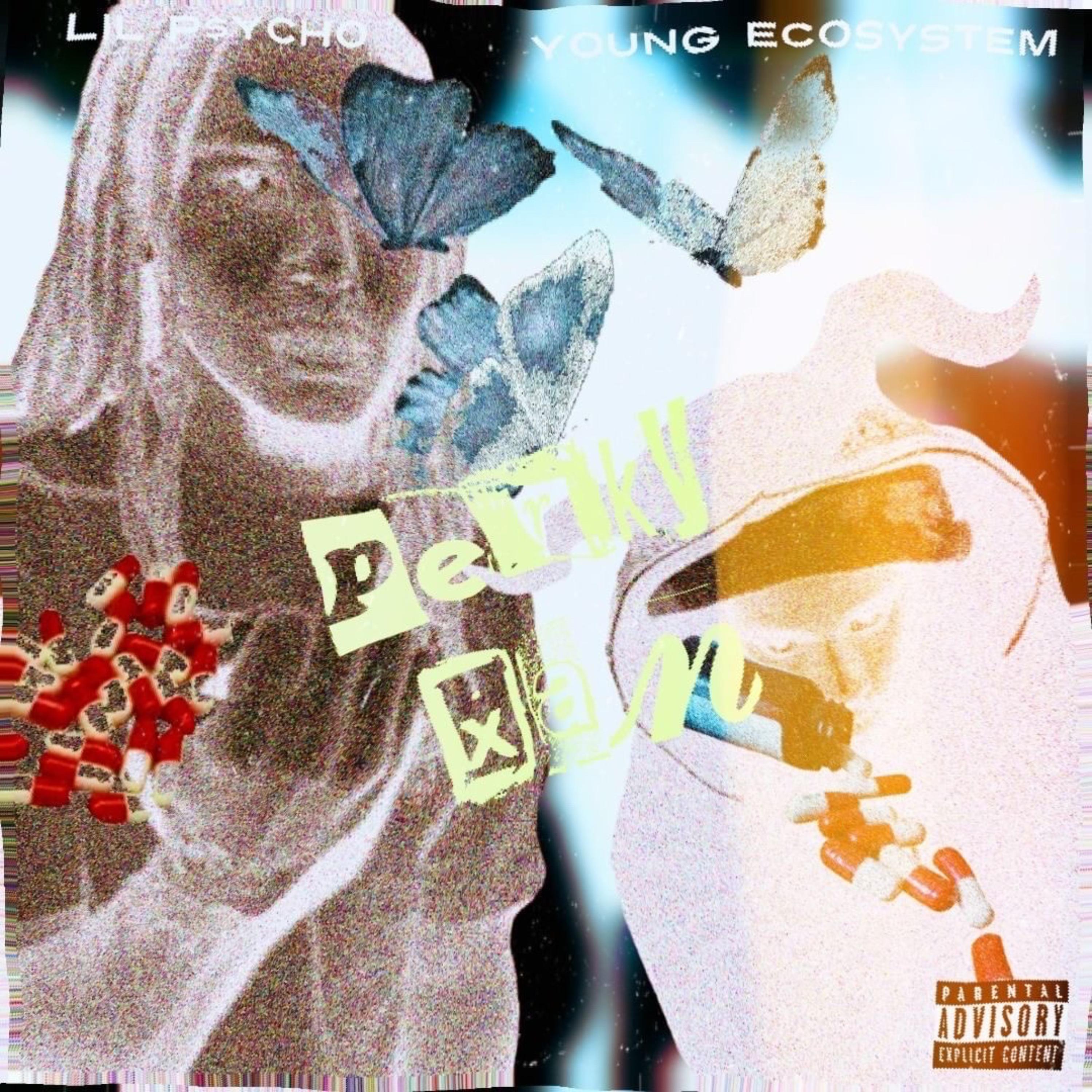 PERKY + XAN artwork