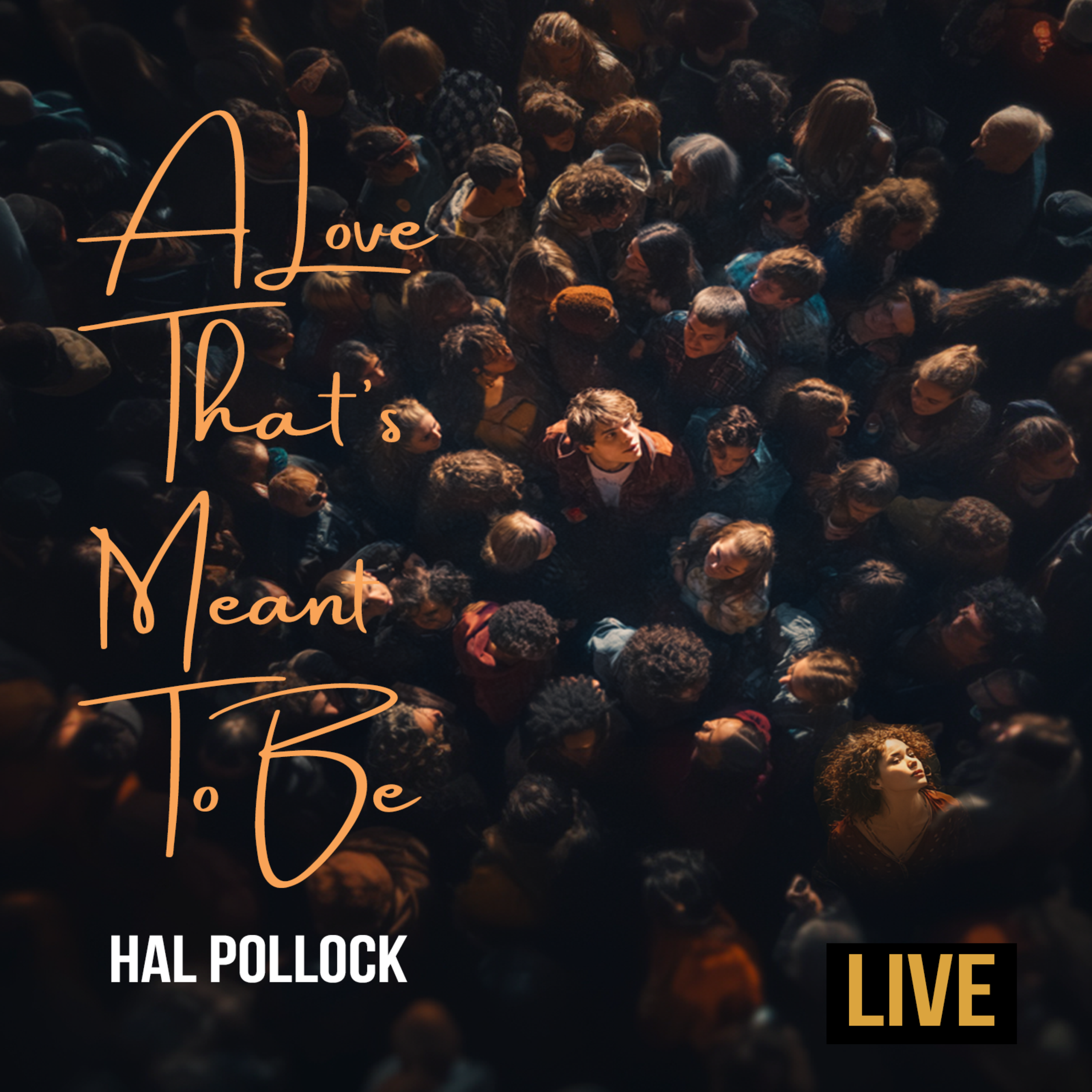 A Love That's Meant To Be (LIVE) by Hal Pollock cover art