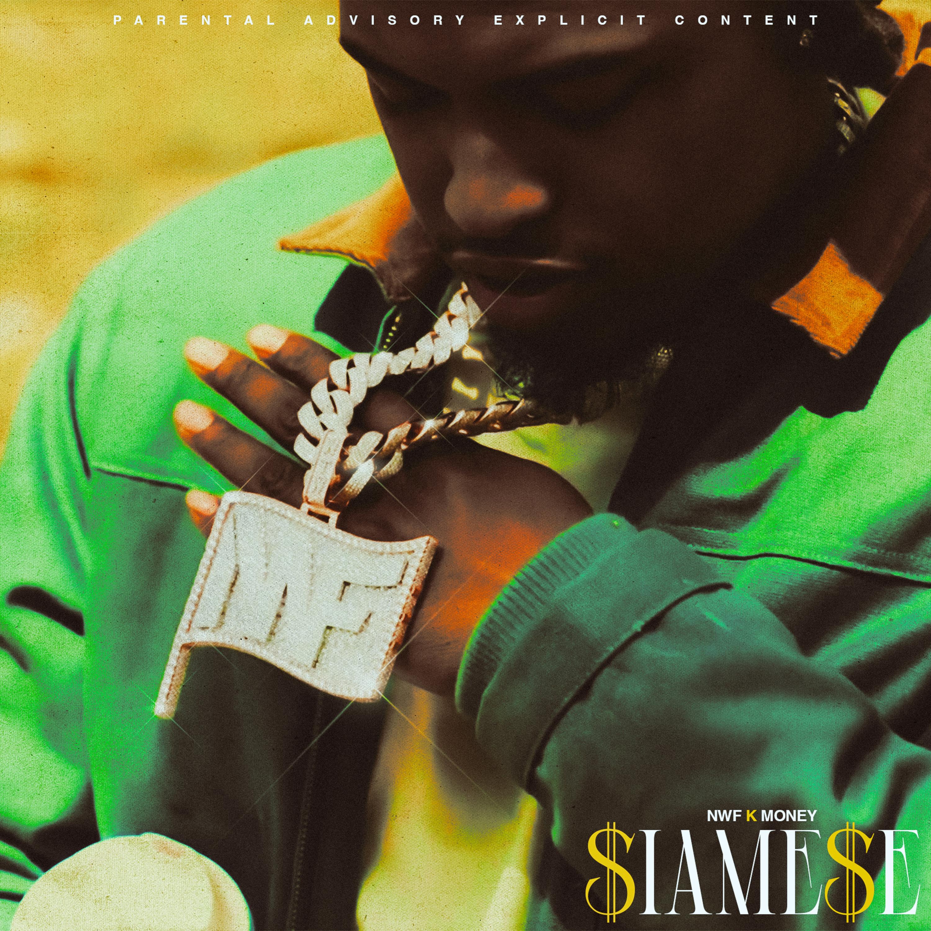 $iamese artwork