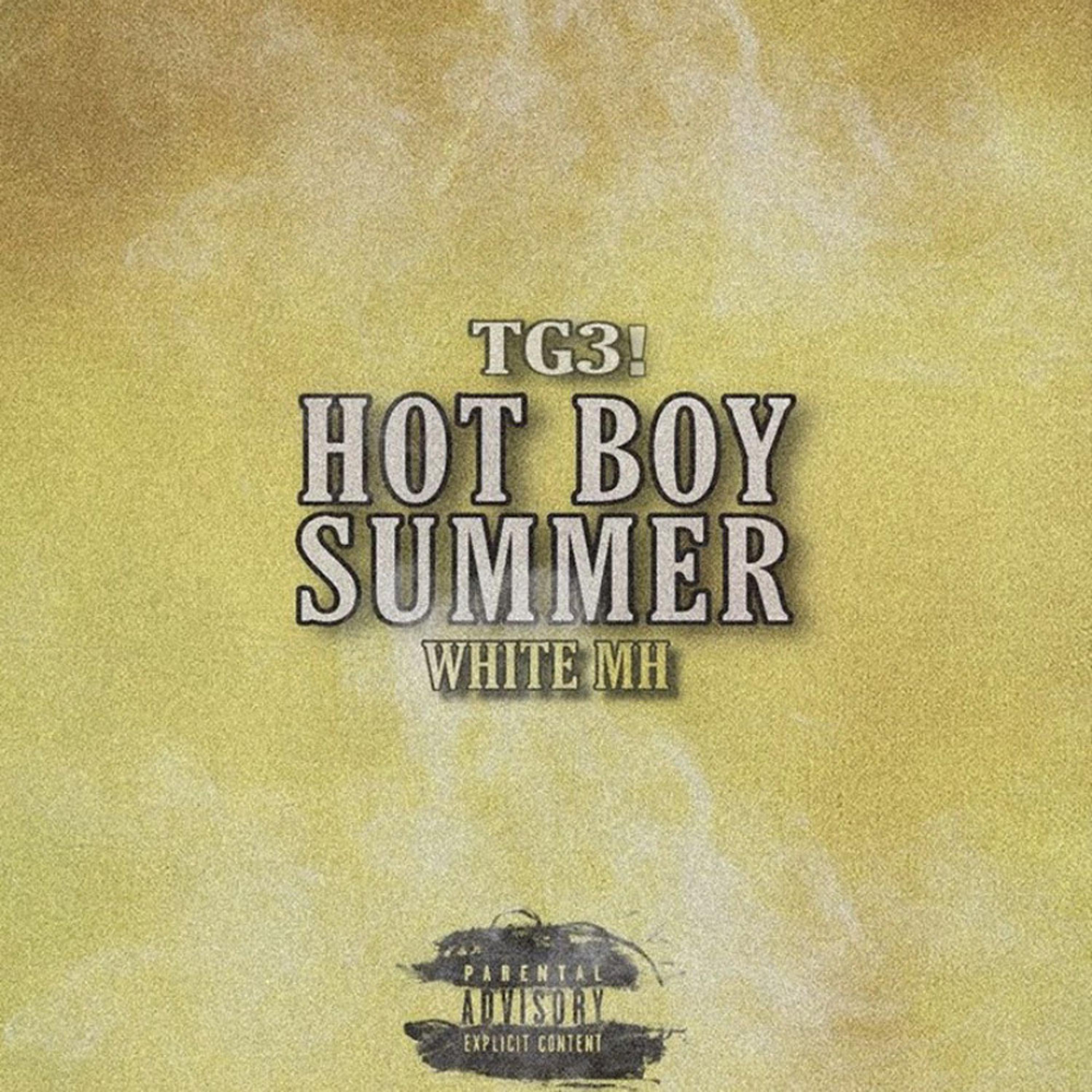 HOT BOY SUMMER artwork