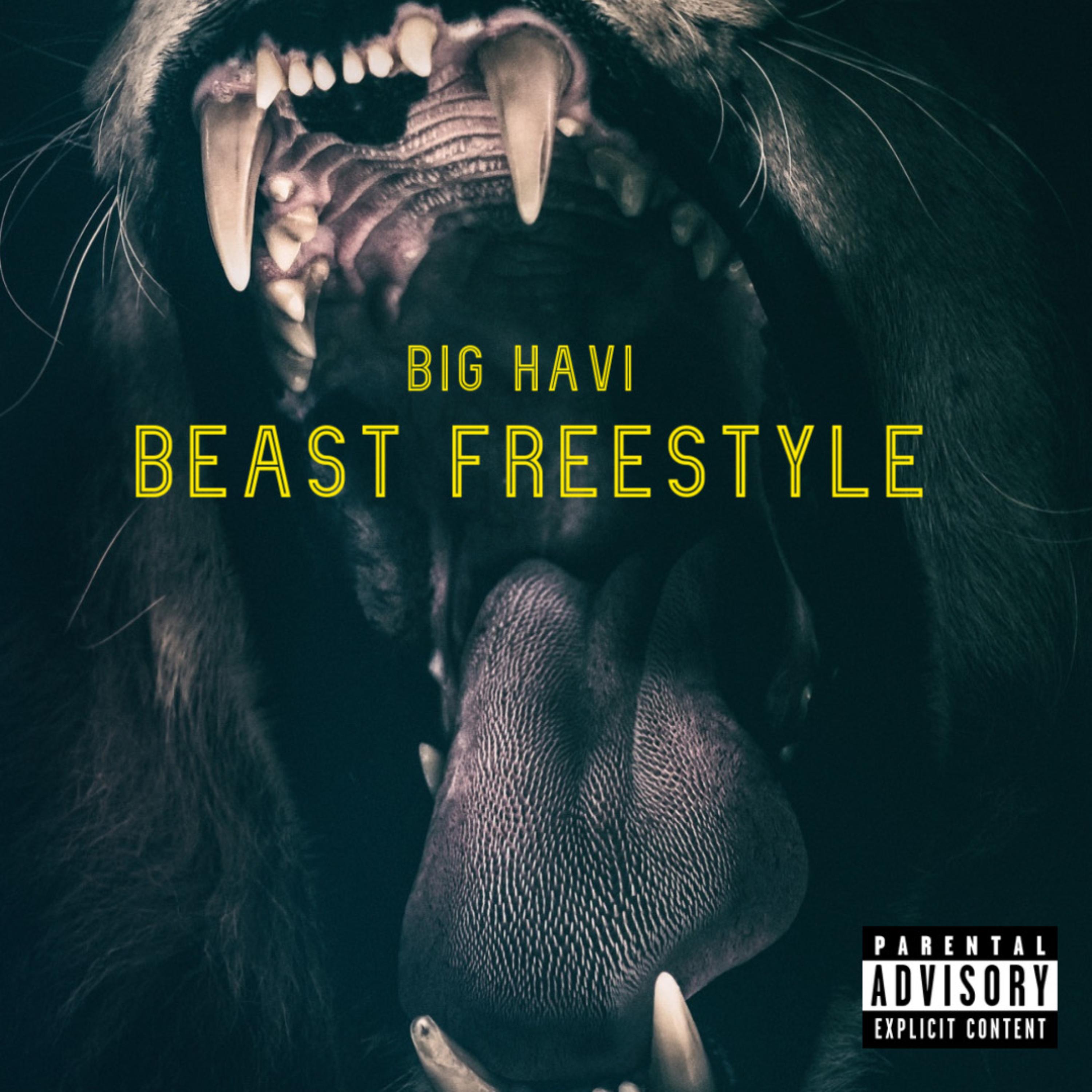 Beast Freestyle artwork