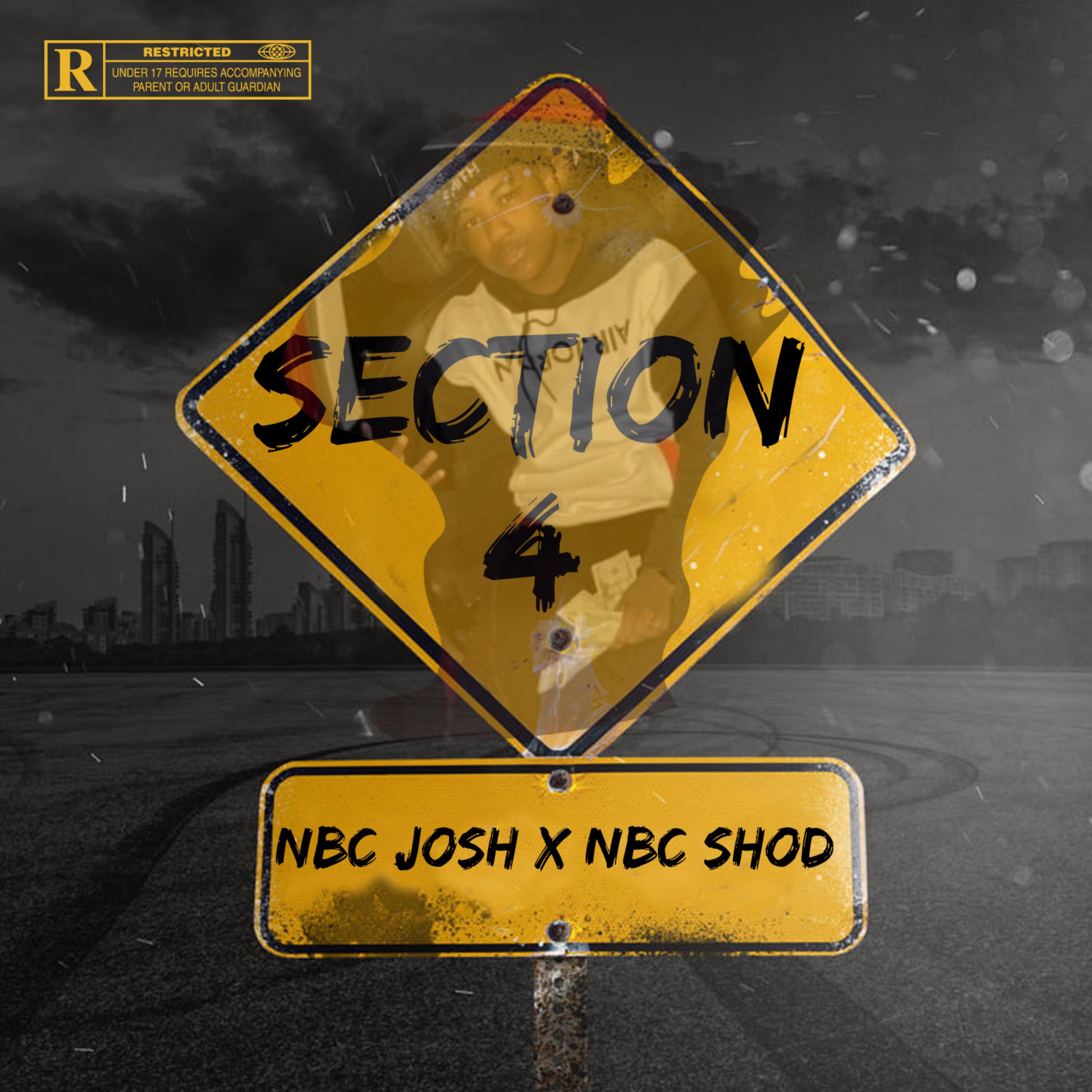 SECTION 4 artwork