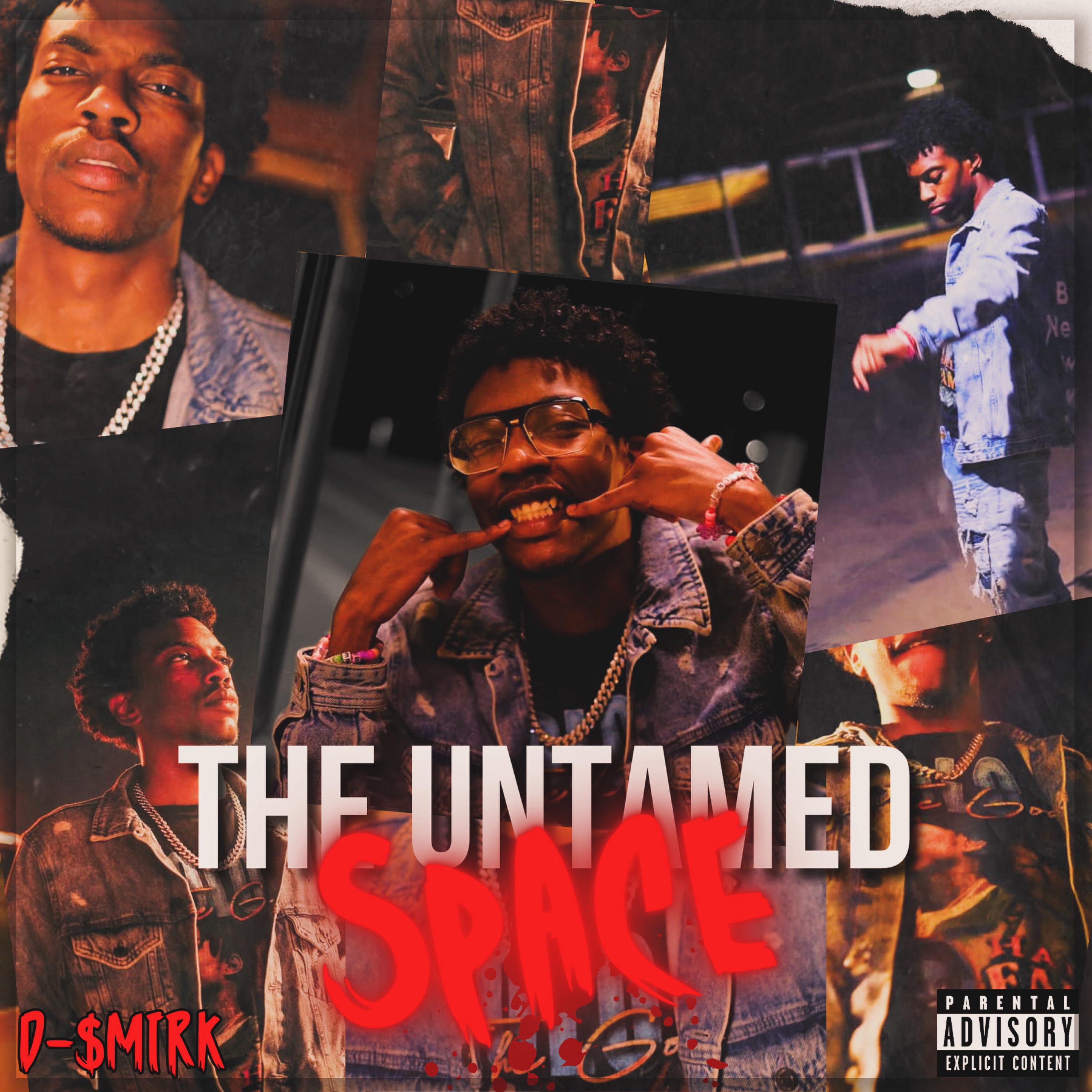 The Untamed Space artwork