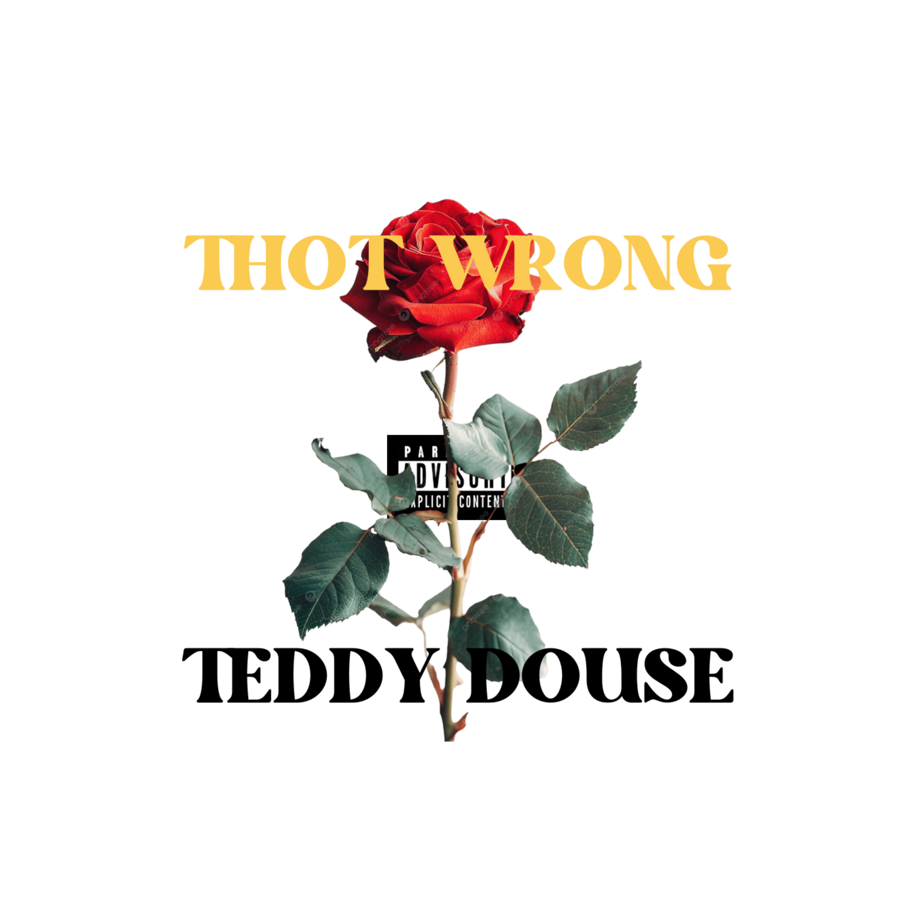 THOT WRONG artwork
