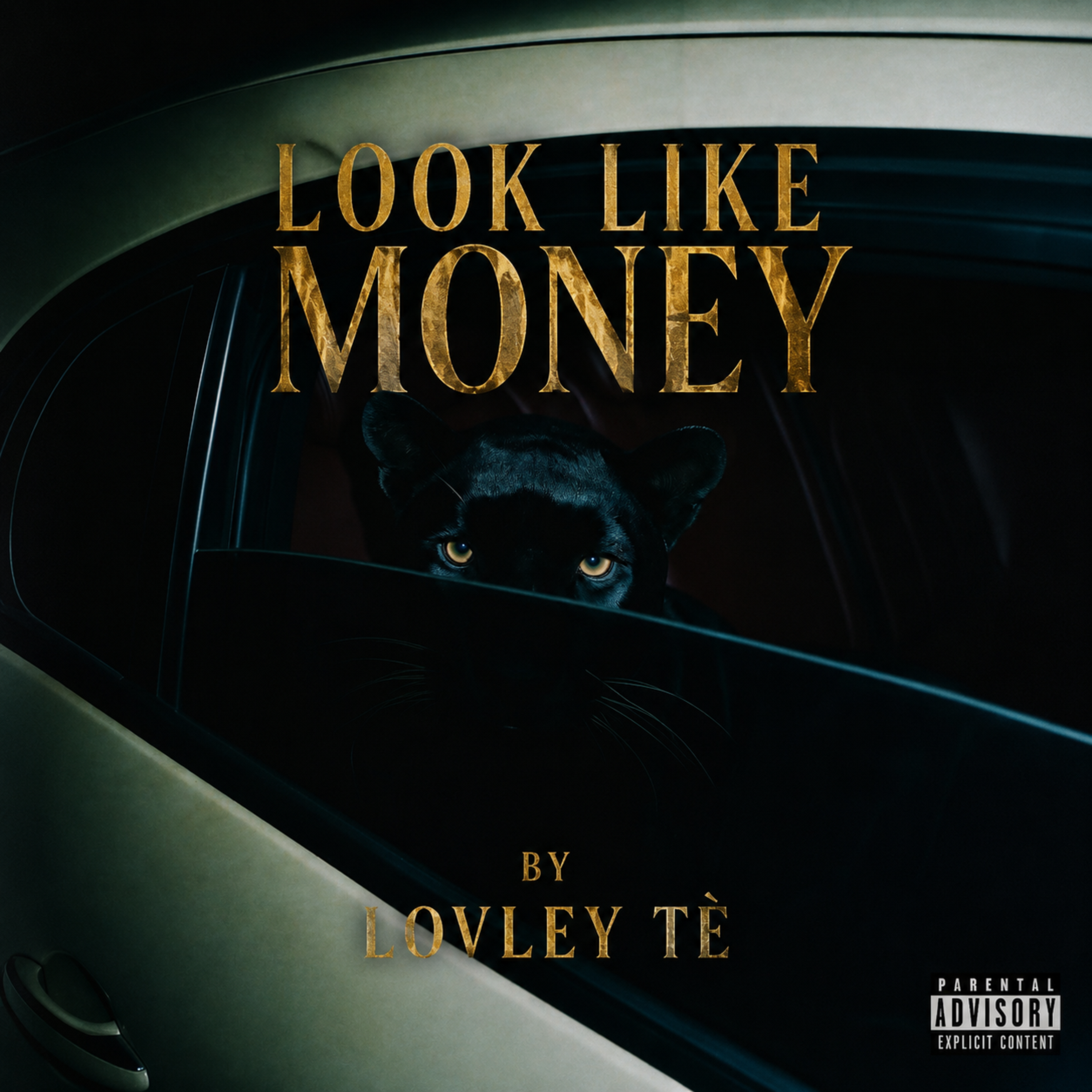 Look Like Money (Loop) by Lovley Tè cover art