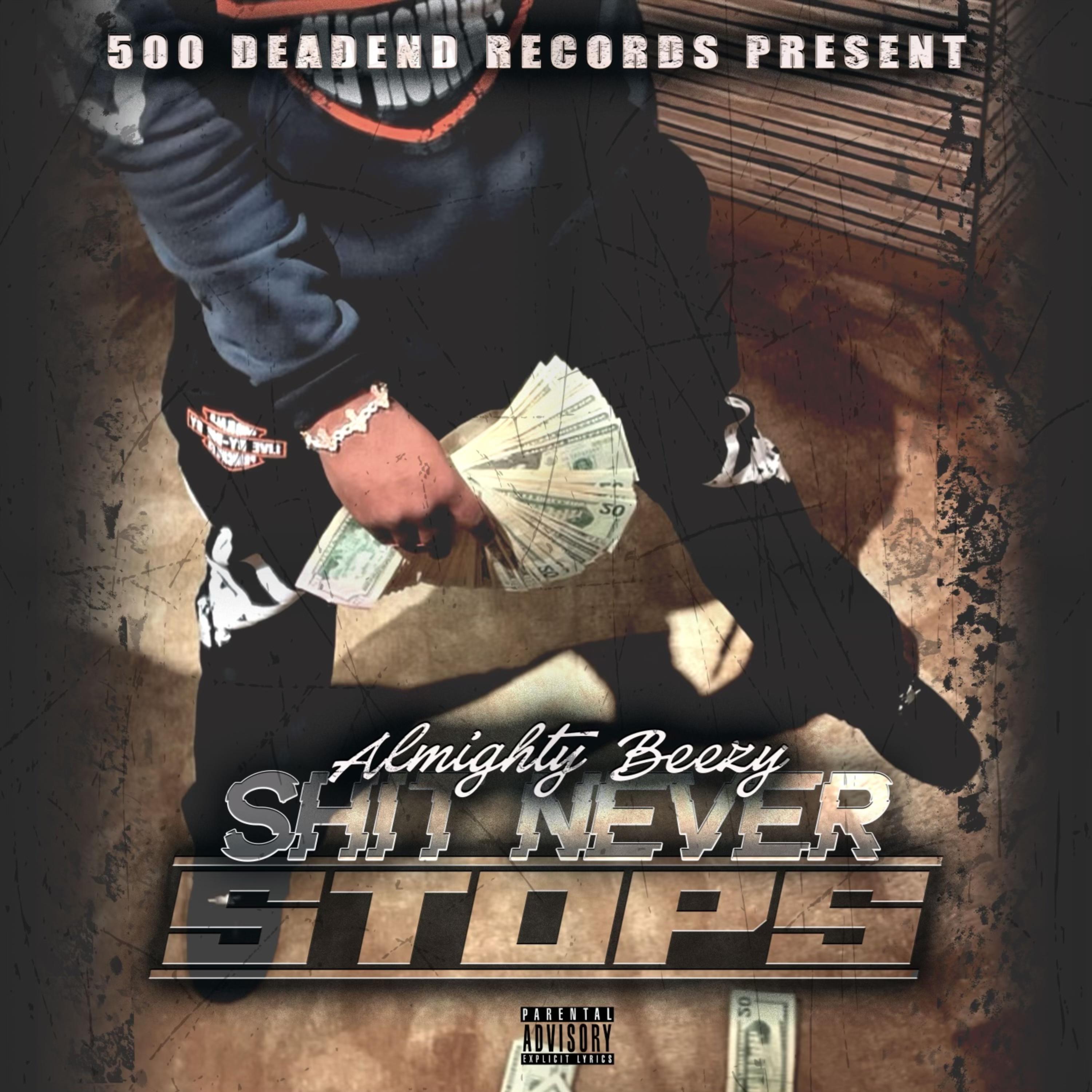 Shit Never Stops artwork