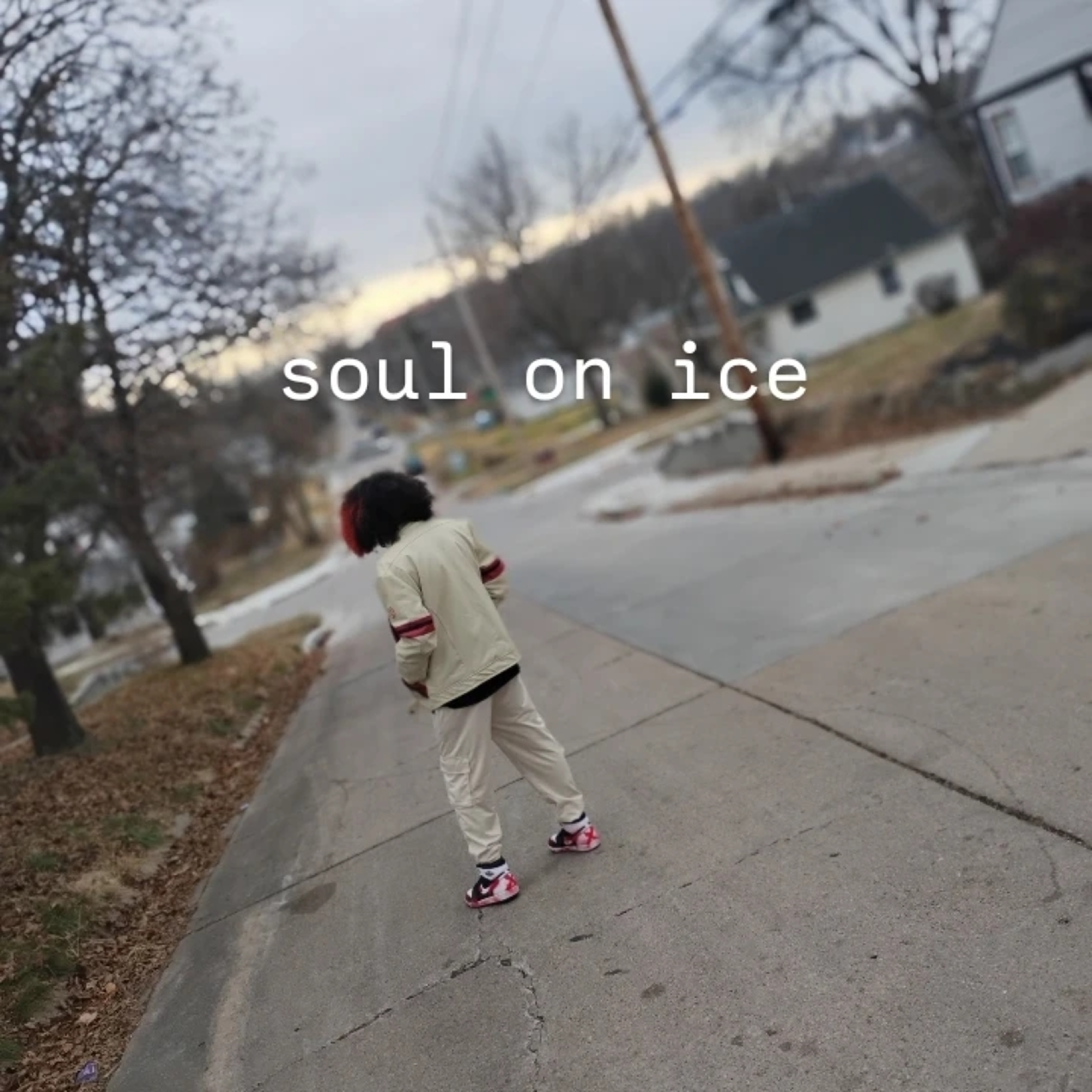 soul on ice artwork