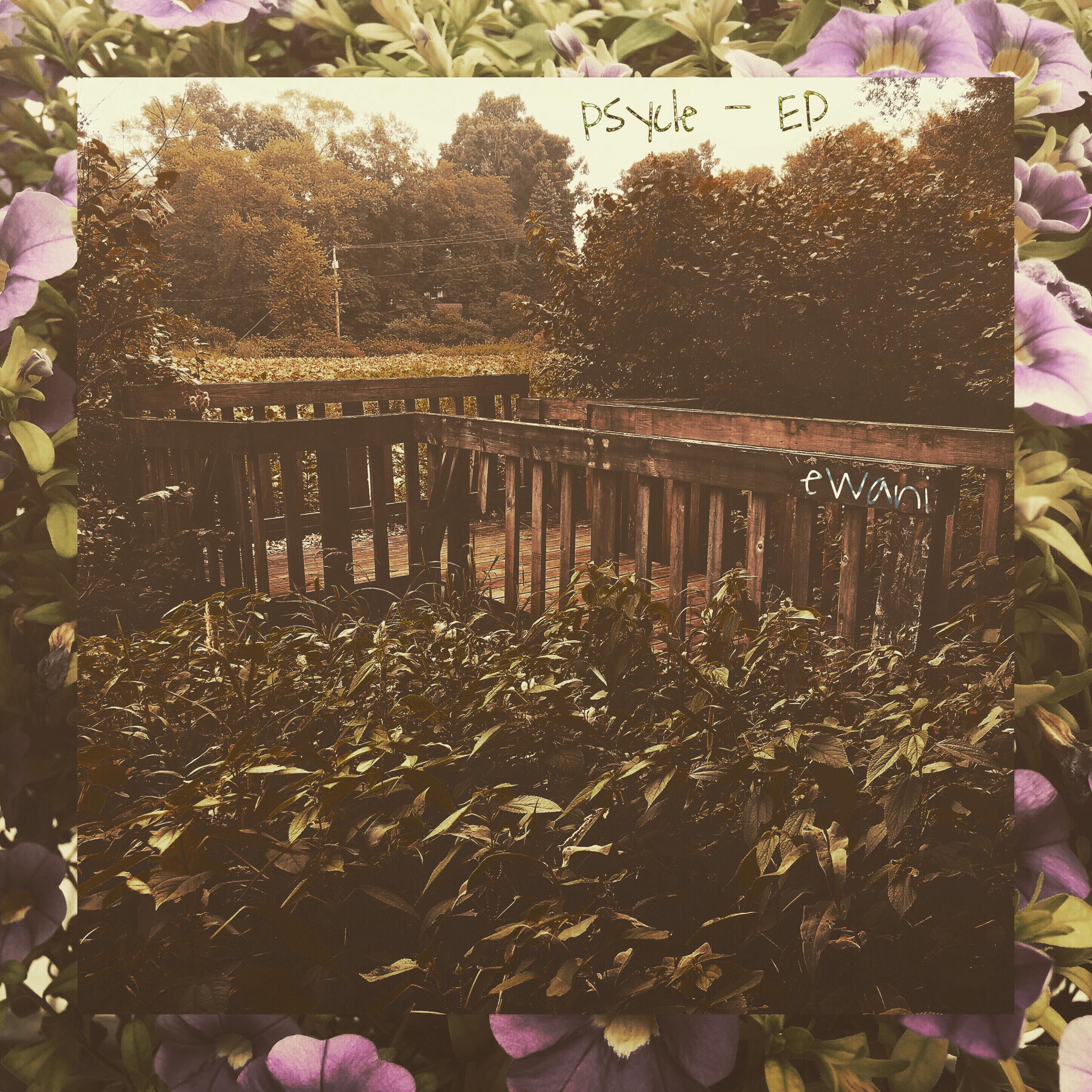 Psycle artwork