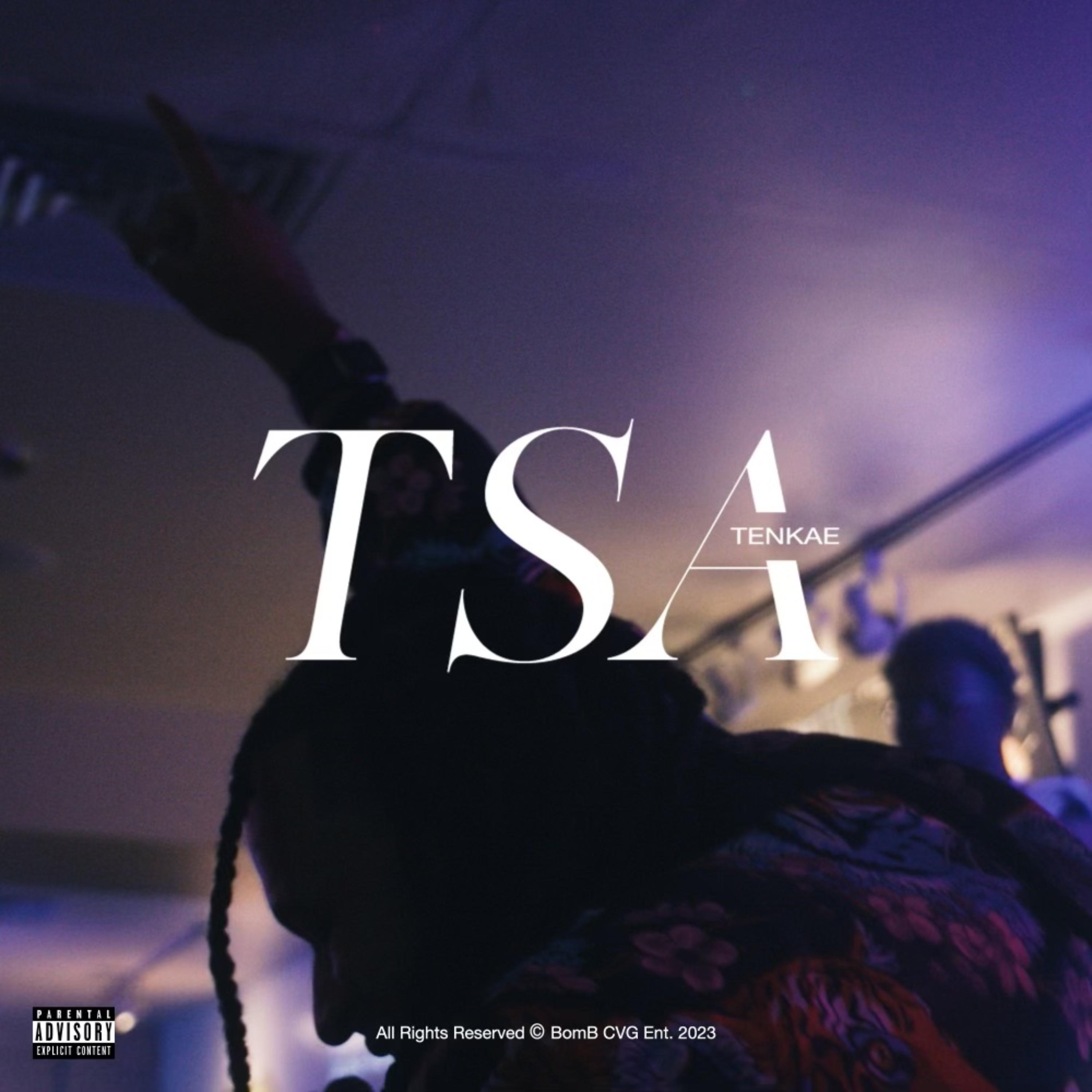 TSA artwork