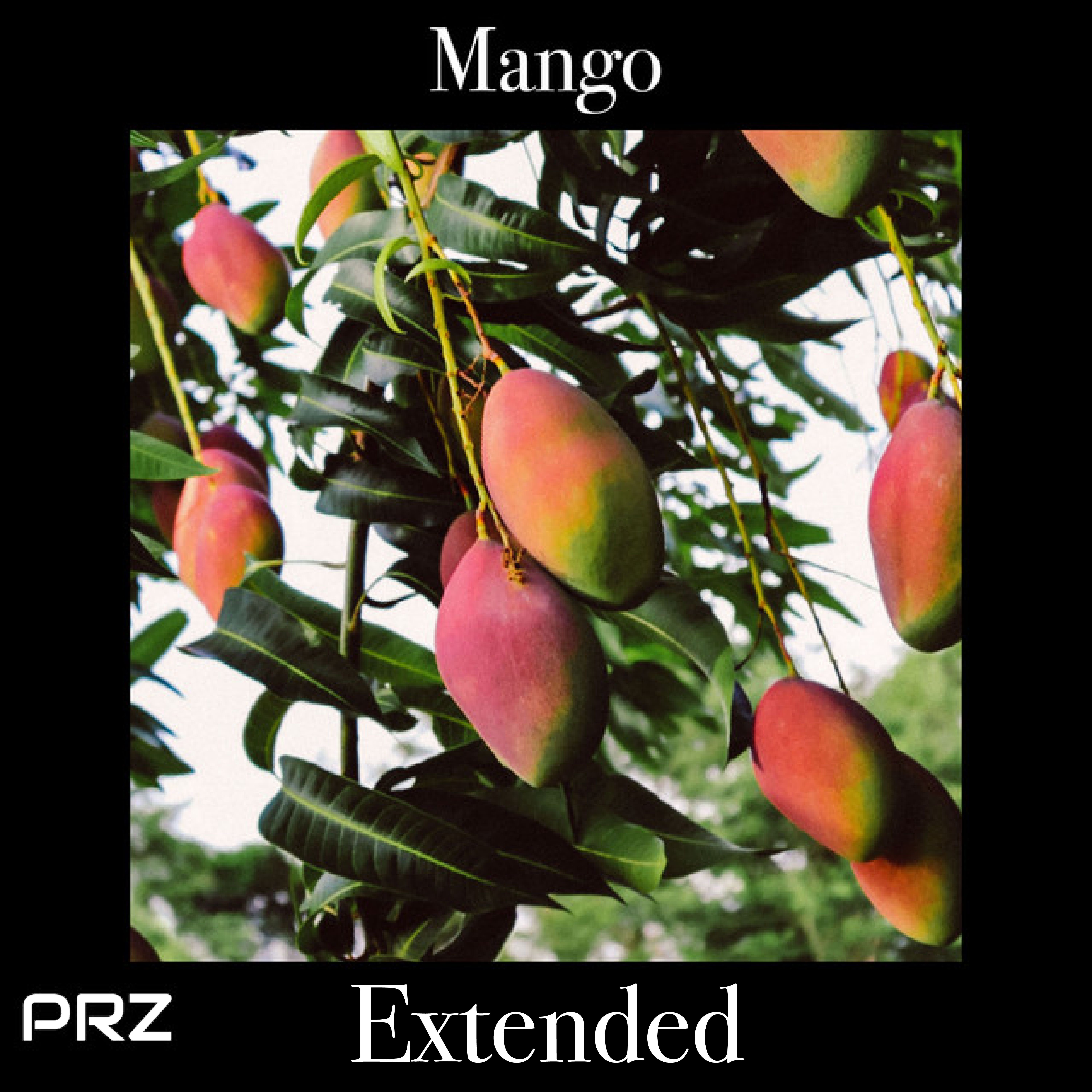 Mango Time (Extended) artwork
