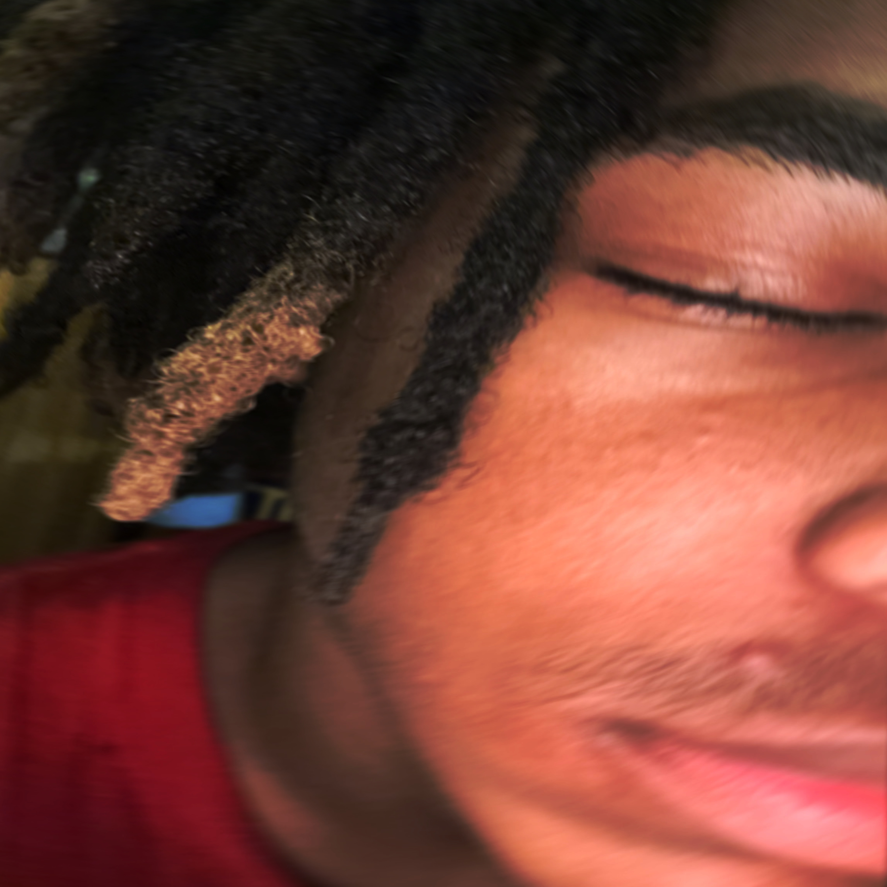 3 fly artwork