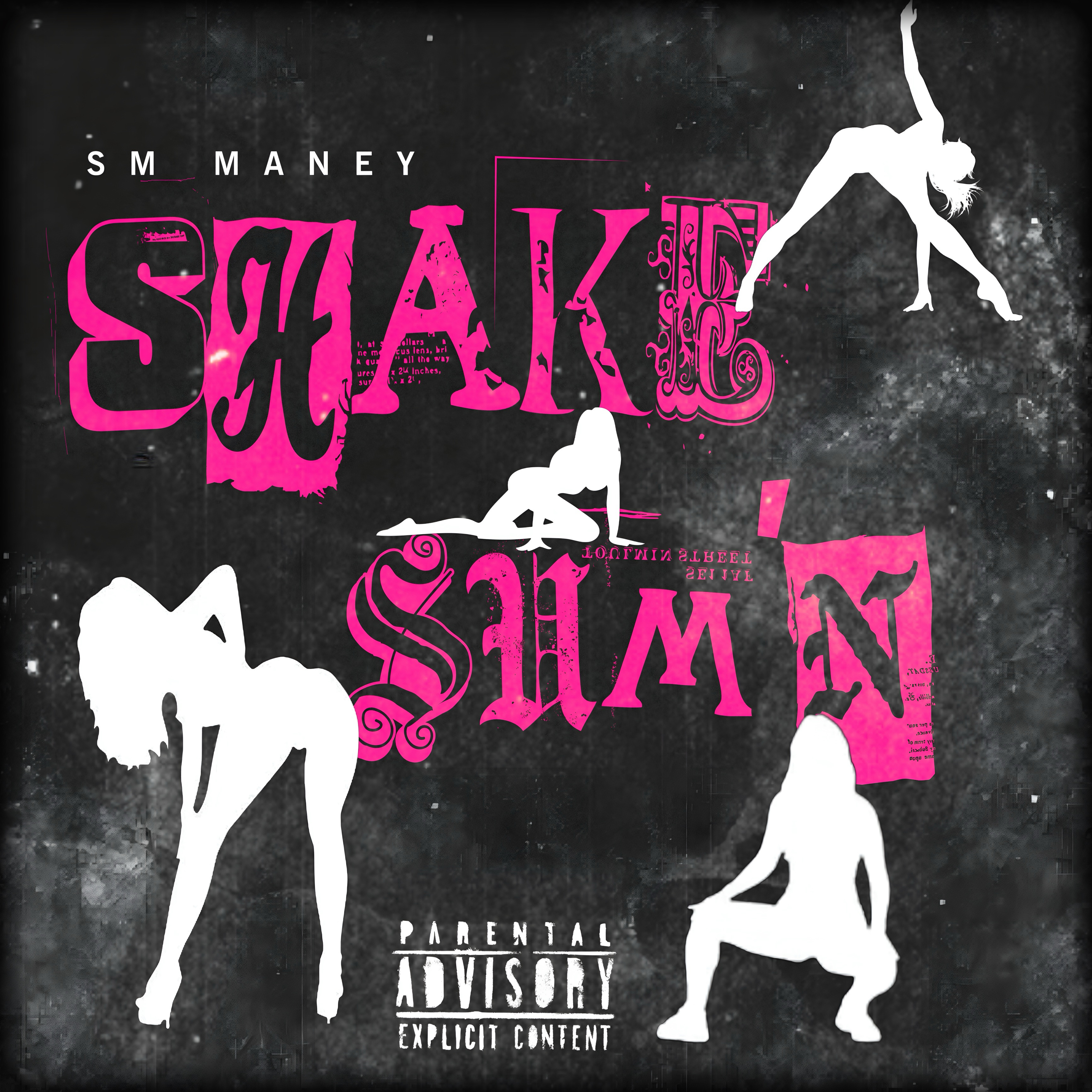 Shake Sum’n artwork