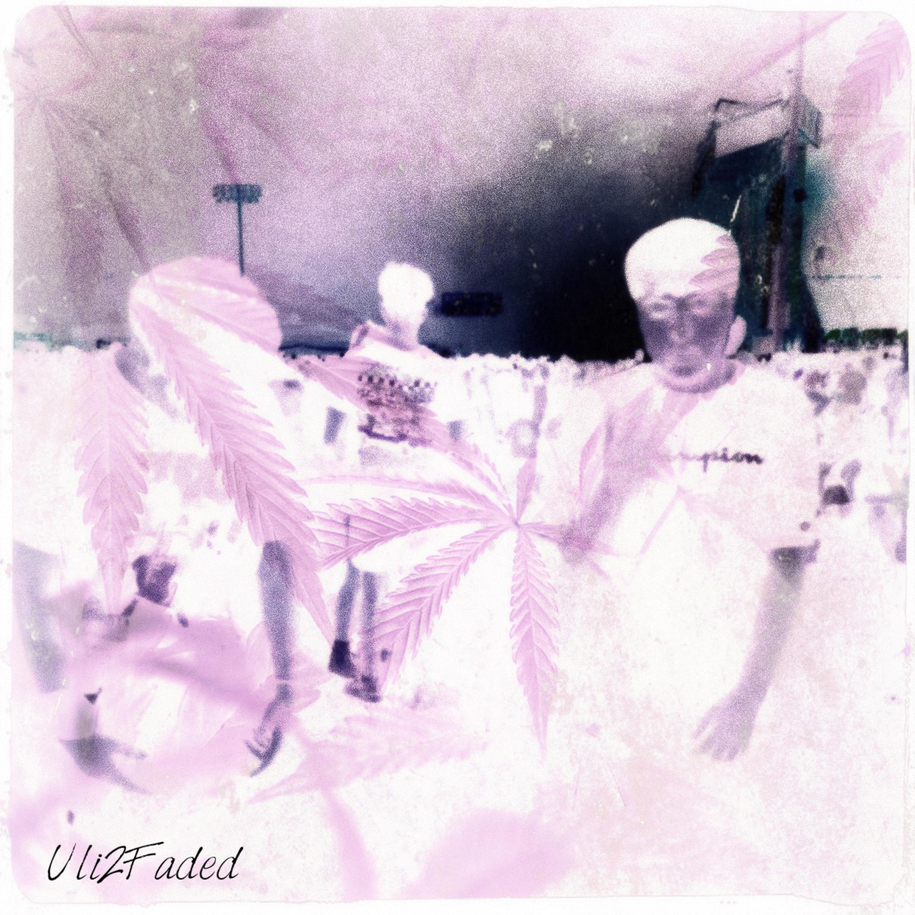 13 artwork