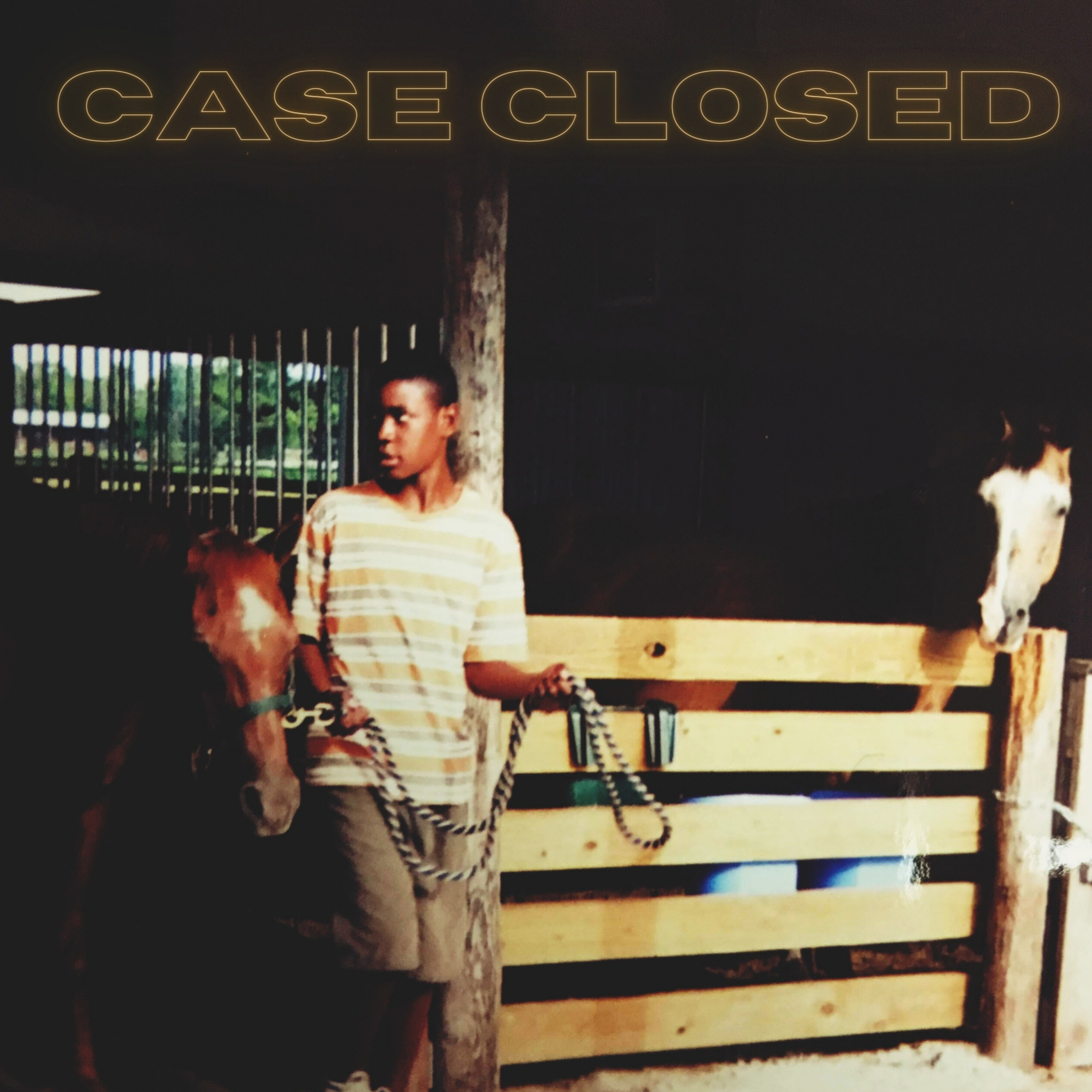 Case Closed artwork