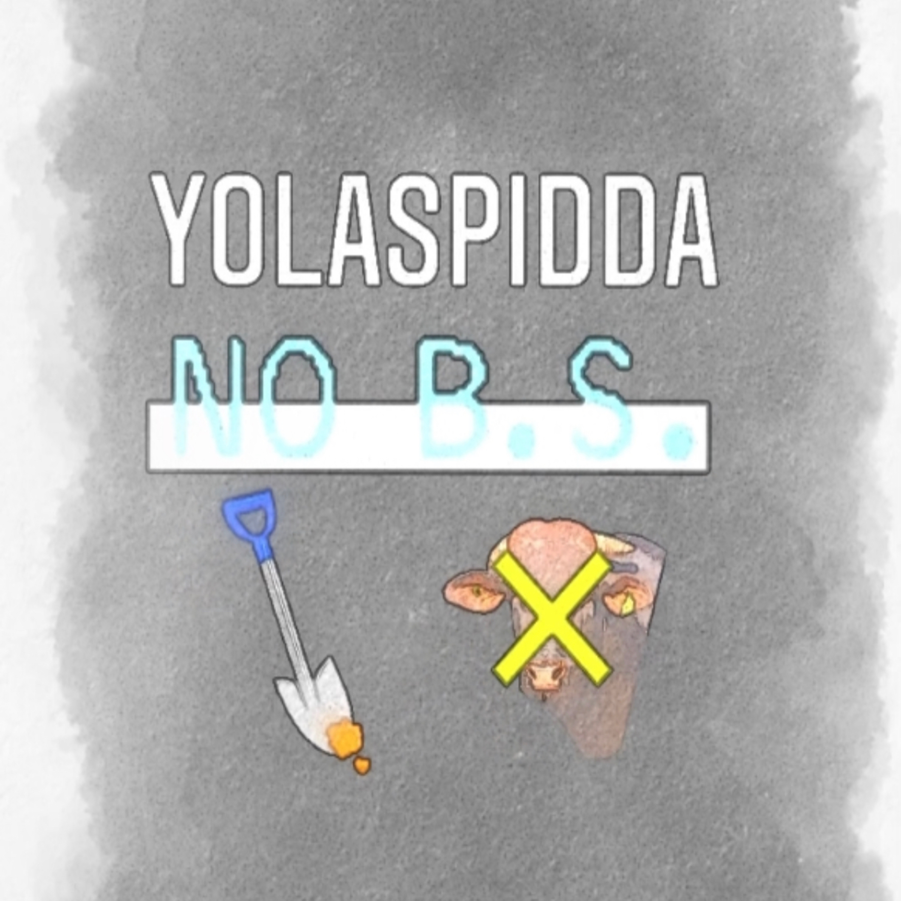 No B.S. by YolaSpidda cover art