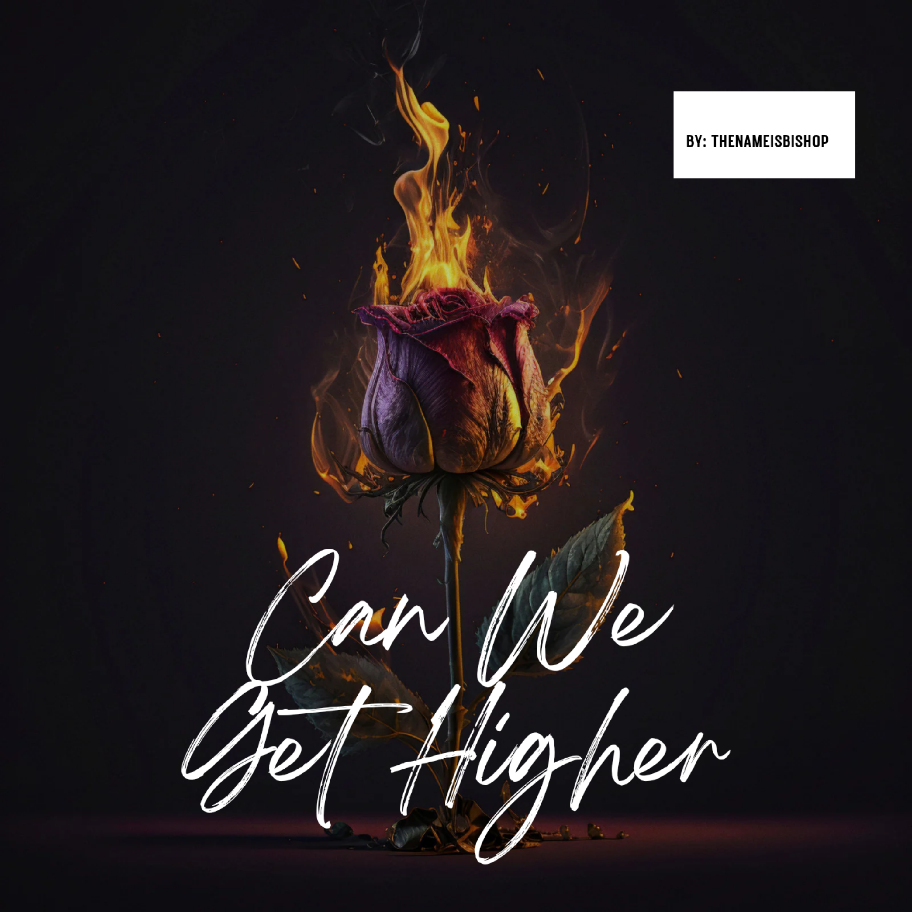 Can We Get Higher artwork