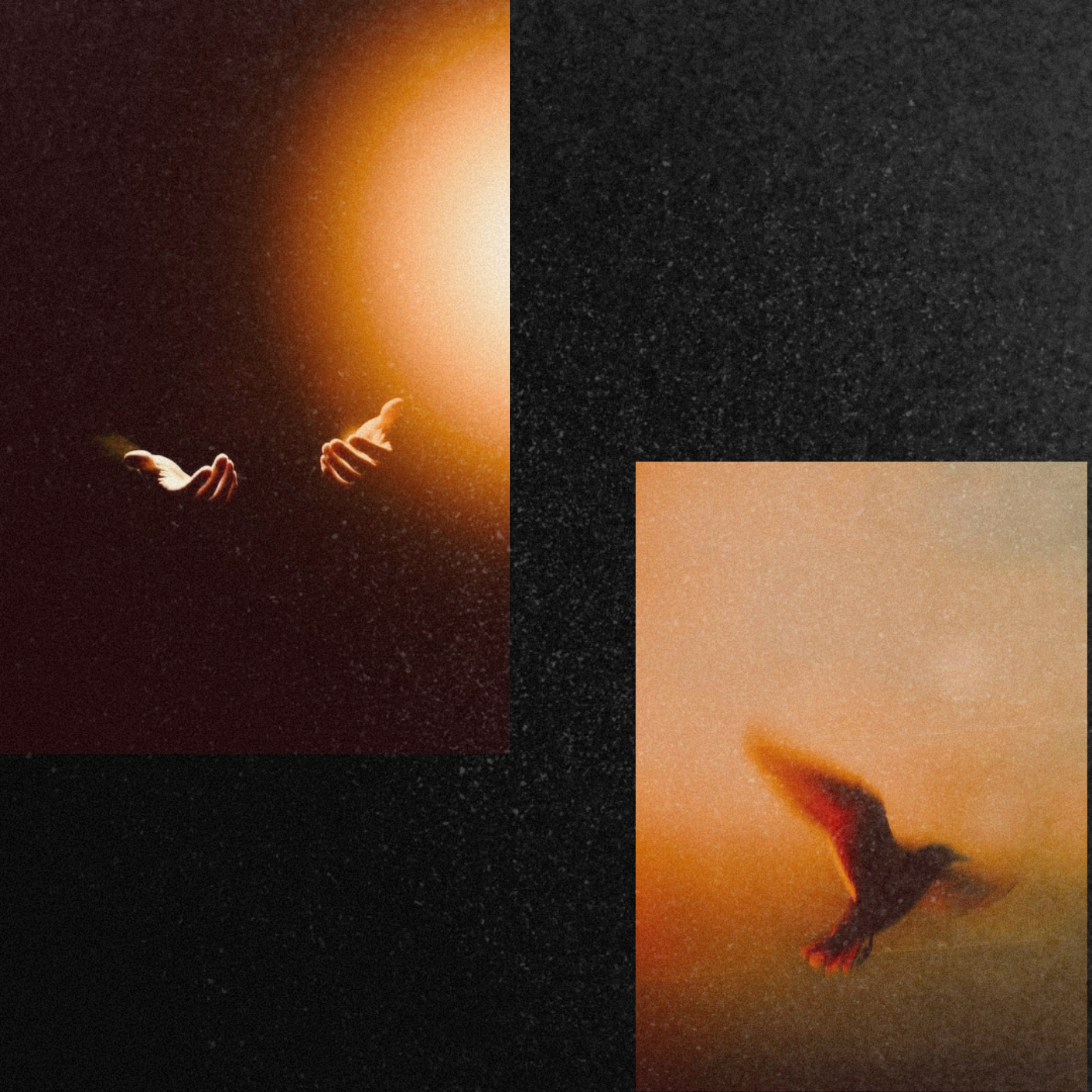 4URGLORY by ZASHER cover art