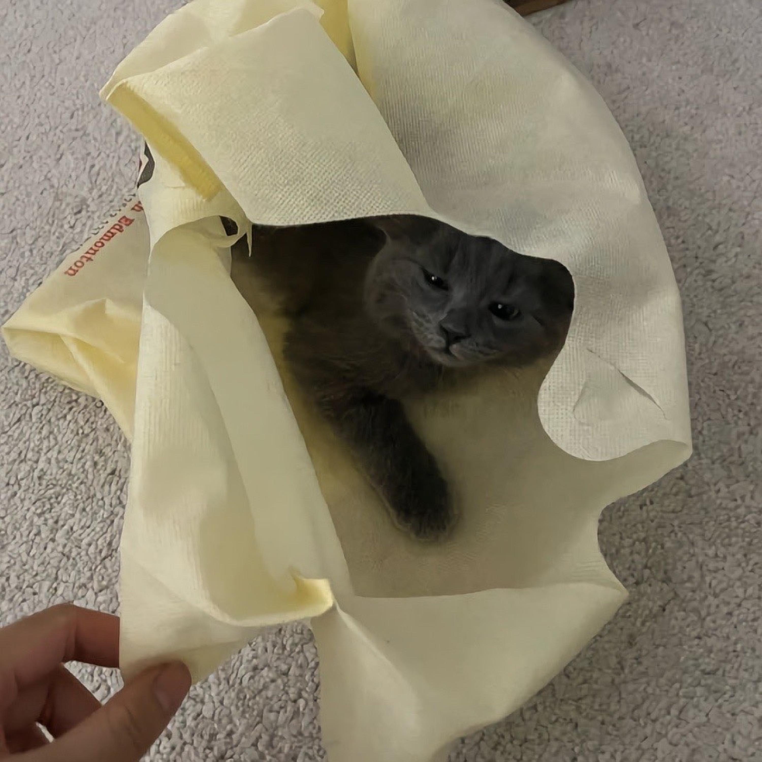 Incredible Amounts artwork