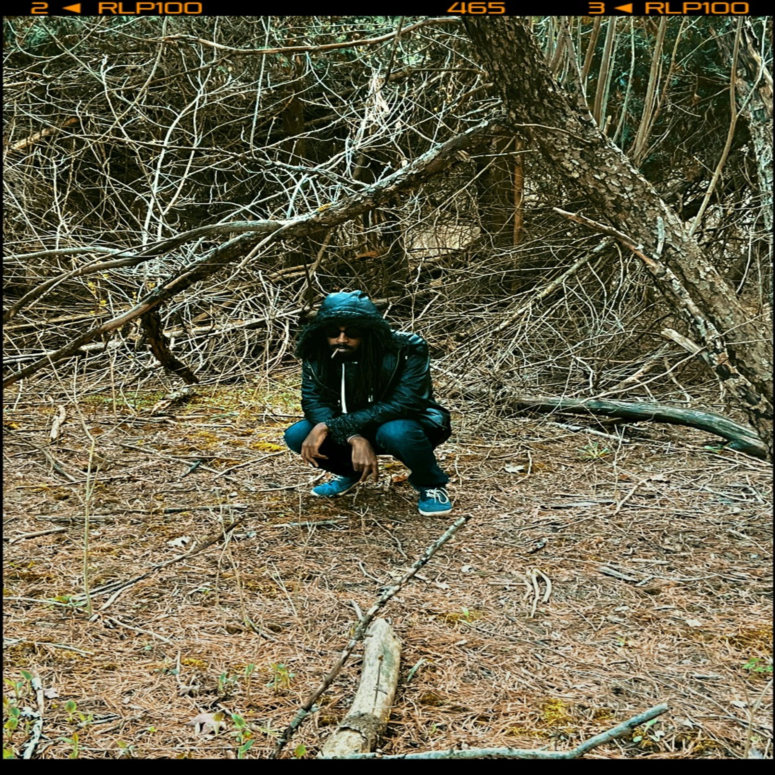 Voices From The Roots of Dead Trees artwork