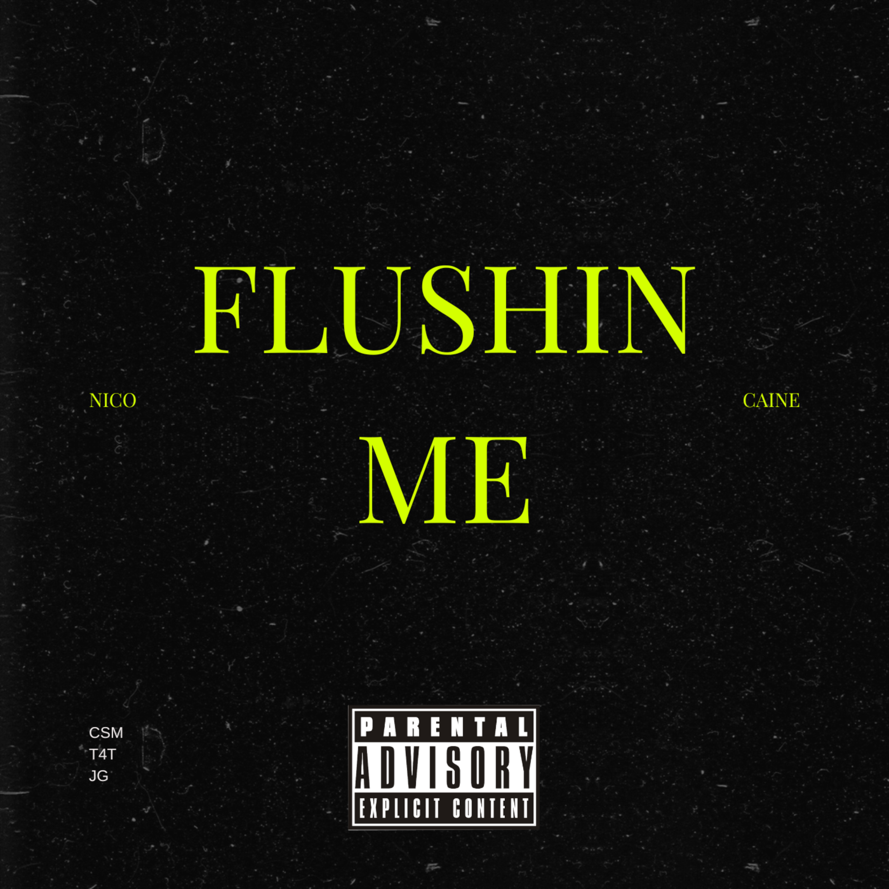 Flushin Me artwork