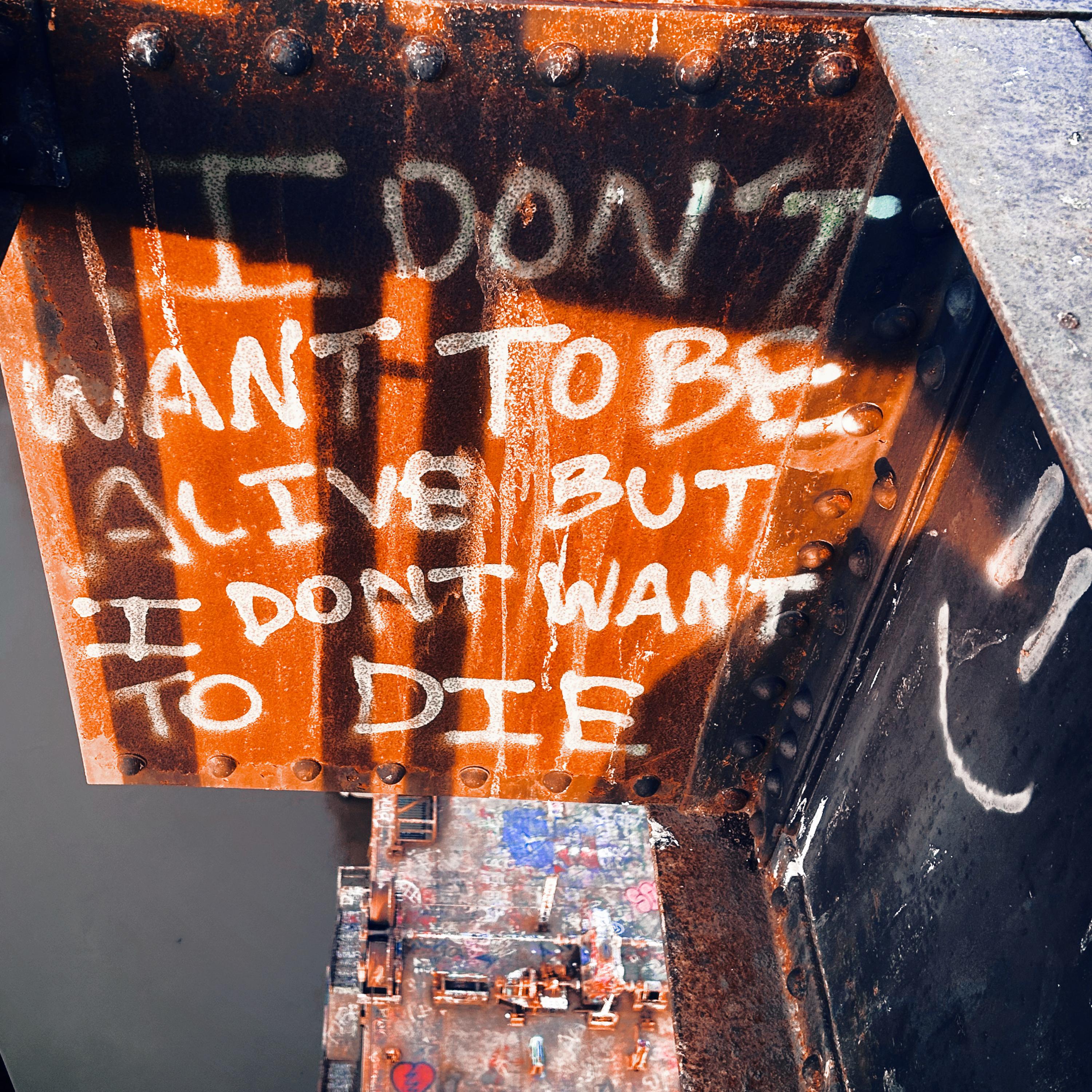 DOYOUHEARTHEVOICESTOO? artwork