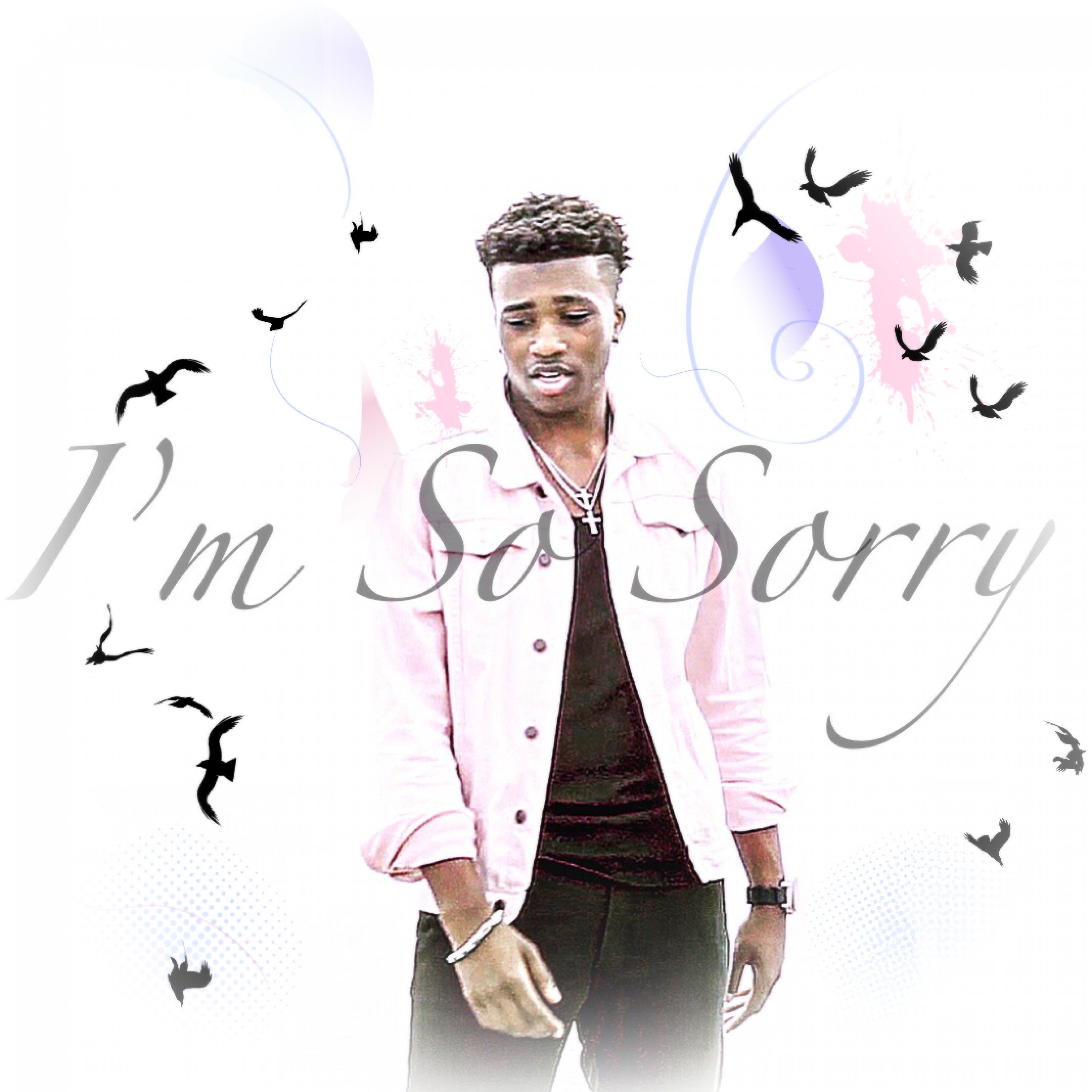 I’m So Sorry artwork