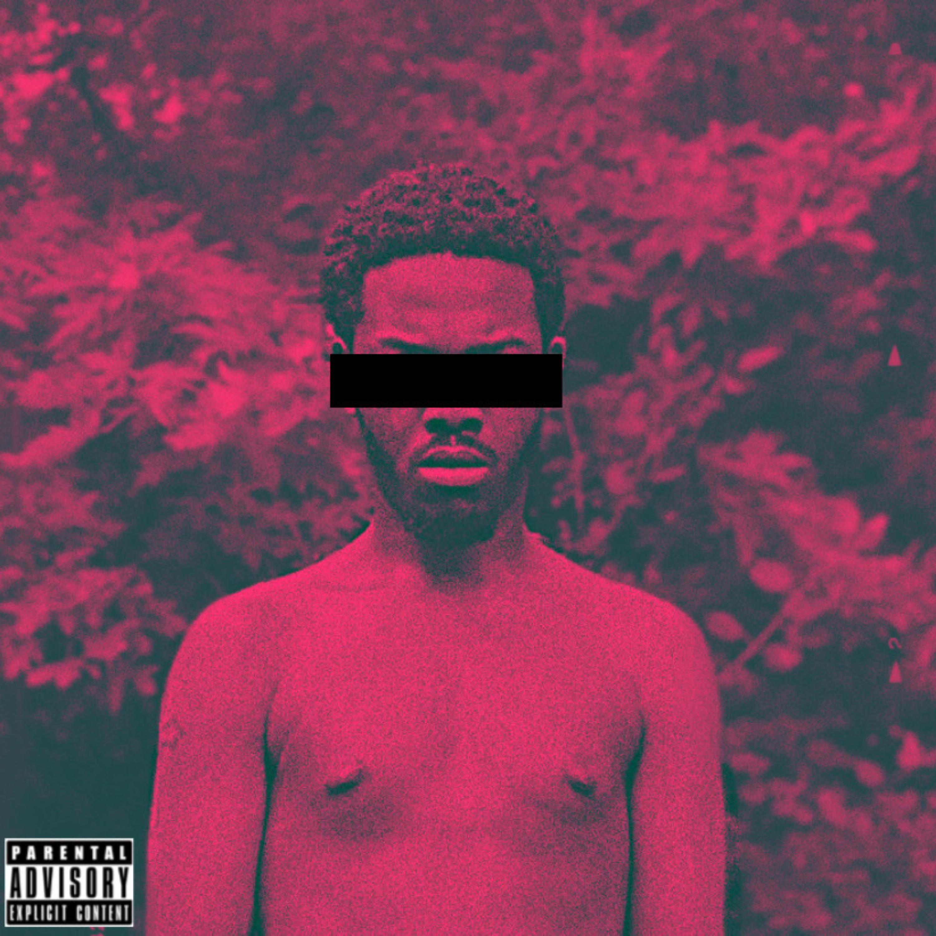 Vengeance artwork