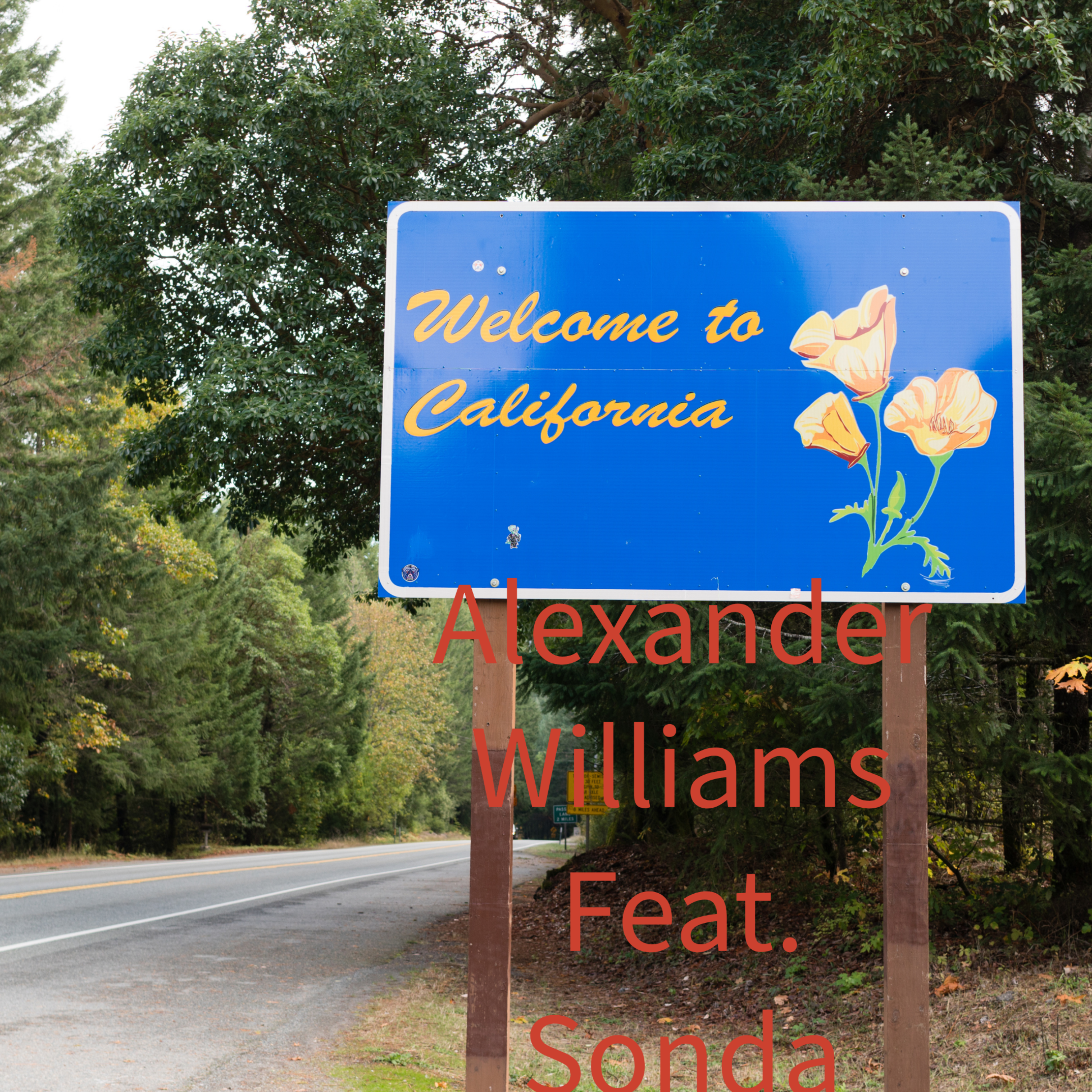 Welcome to California by Alexander Williams cover art