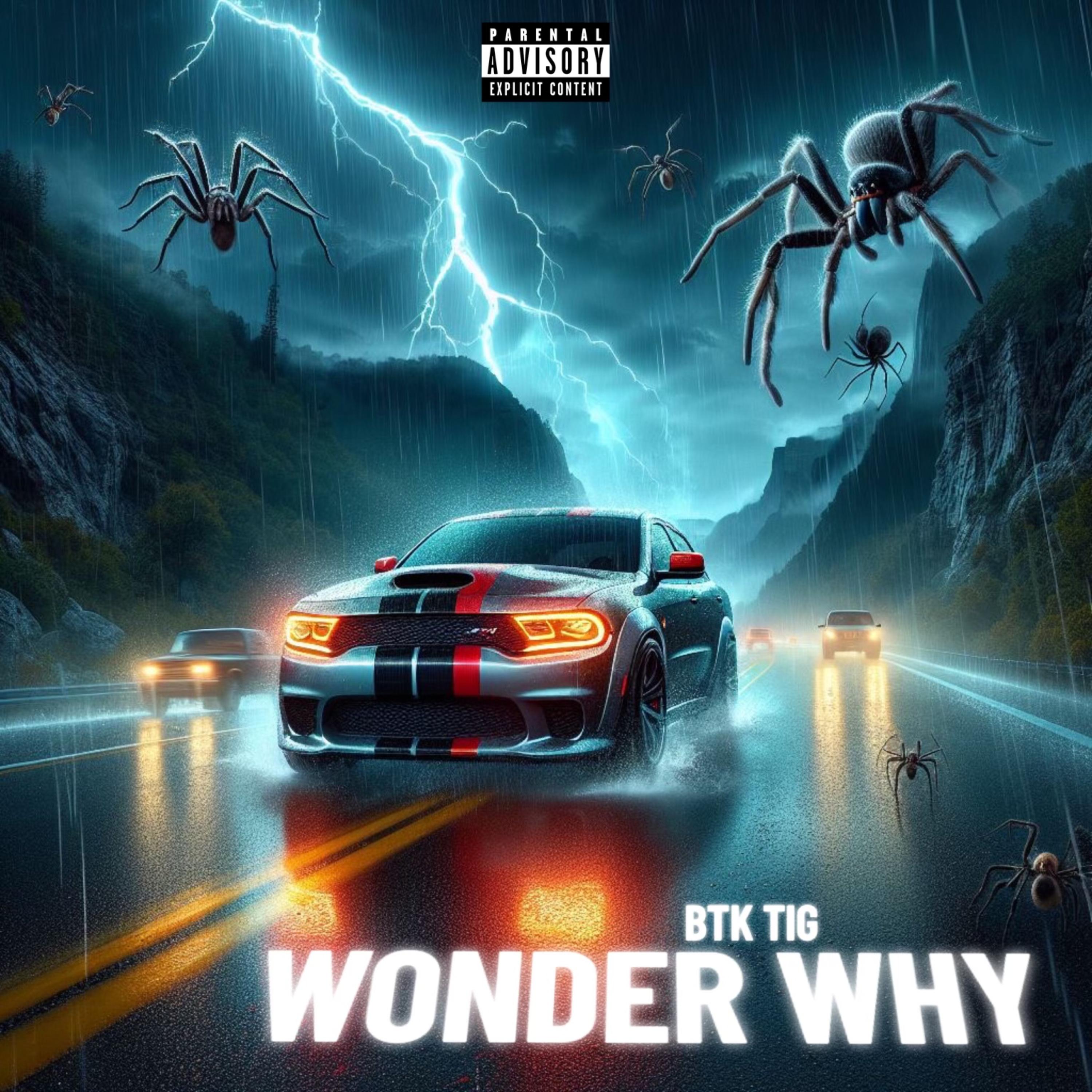 Wonder Why artwork