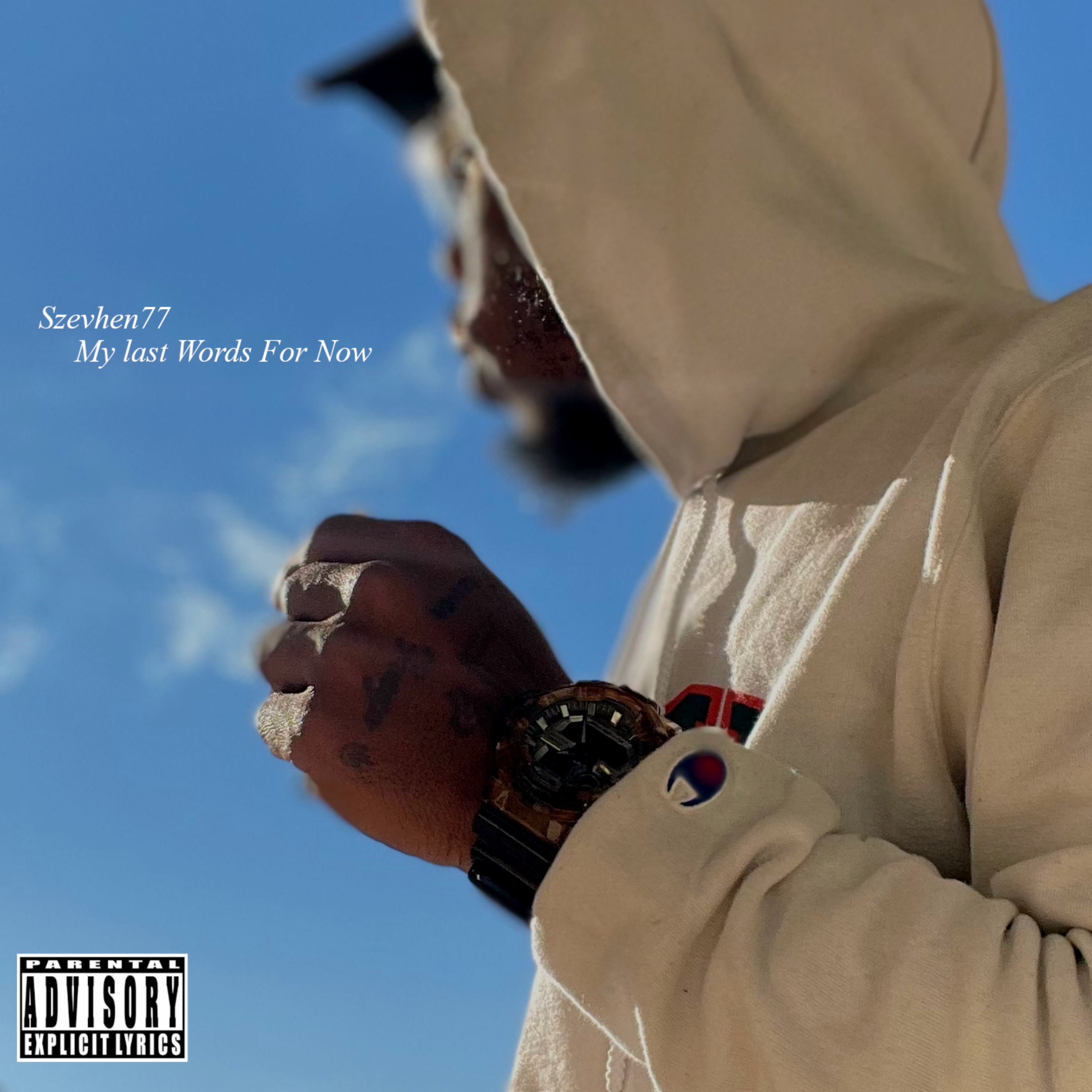 My Last Words For Now artwork