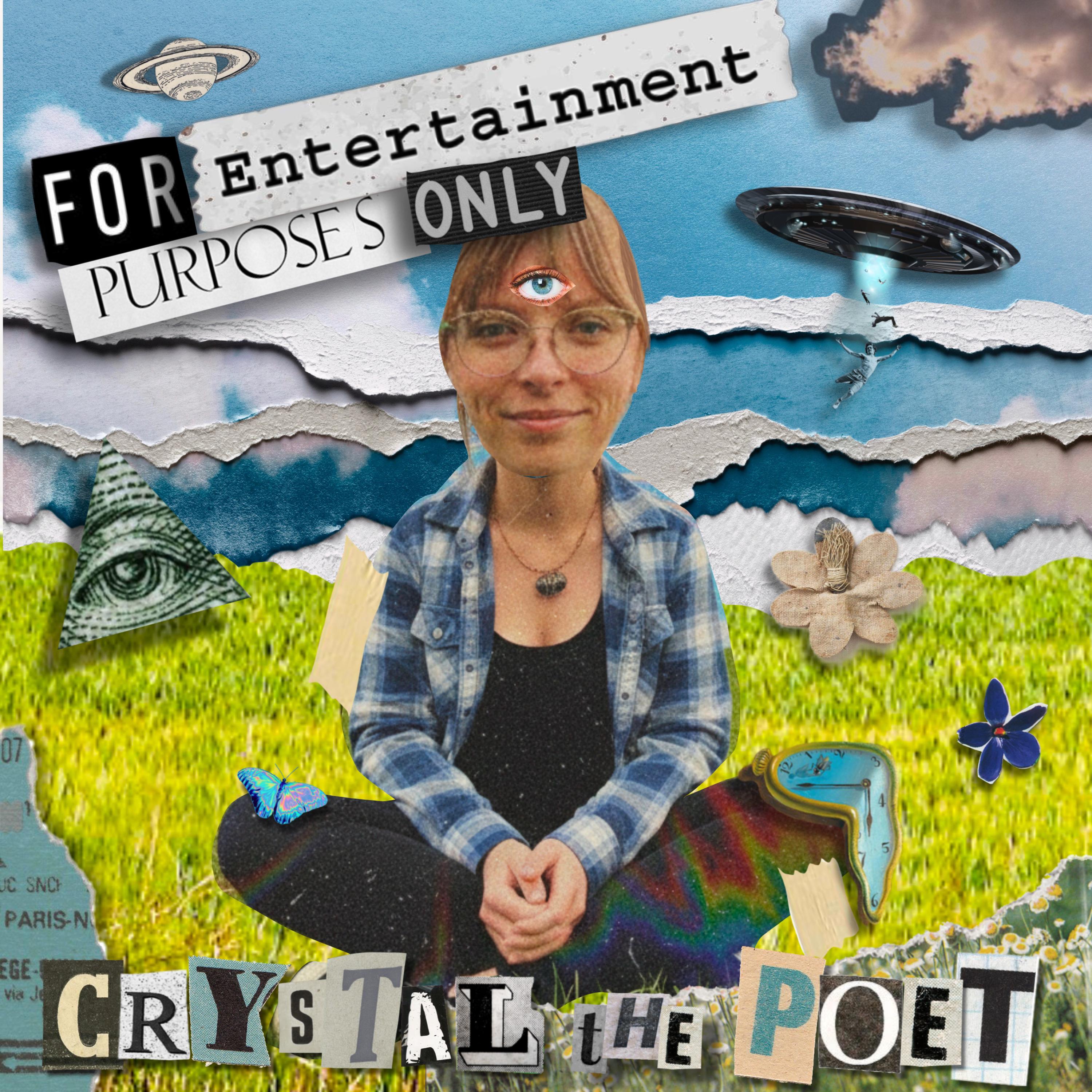 For Entertainment Purposes Only artwork