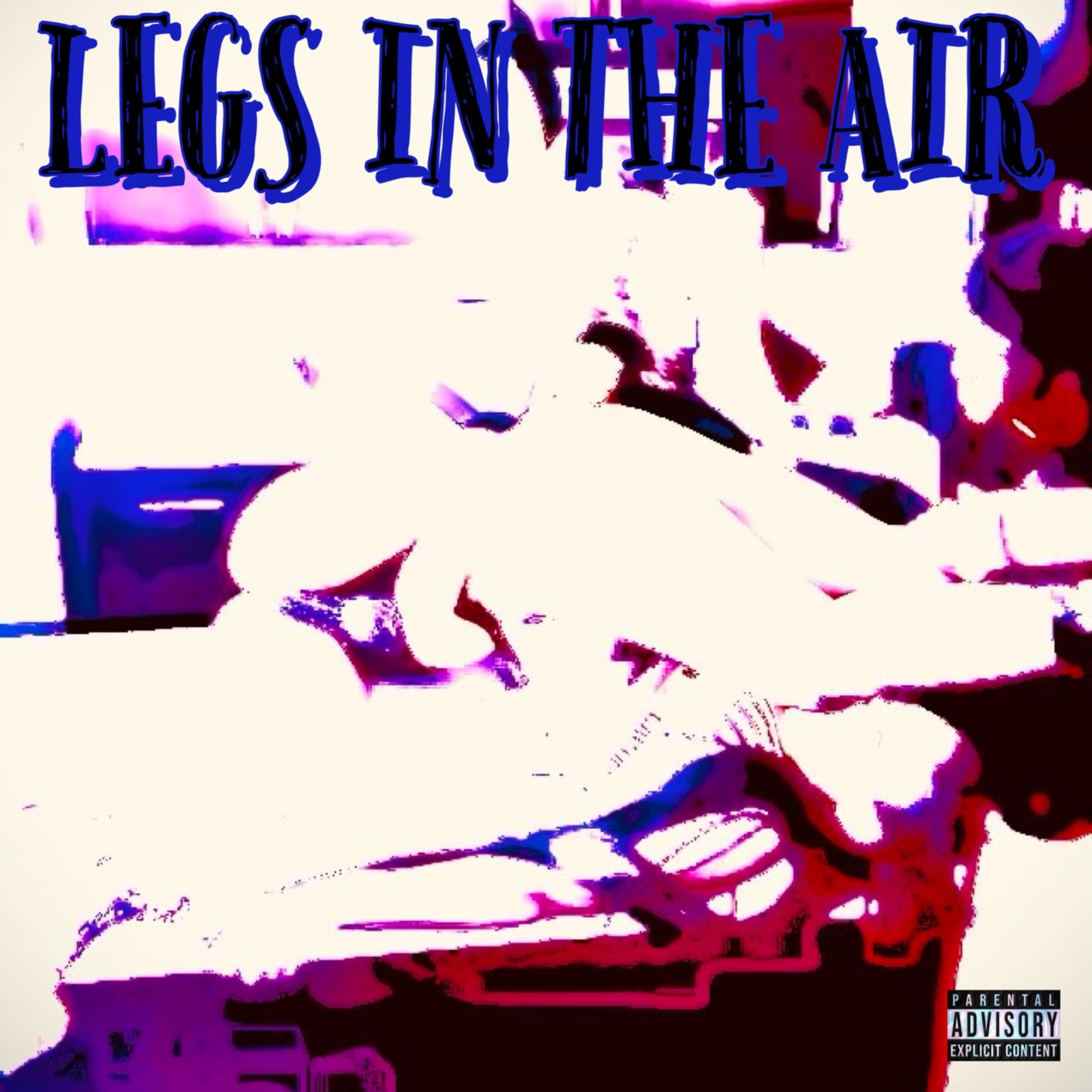 LEGS IN THE AIR artwork