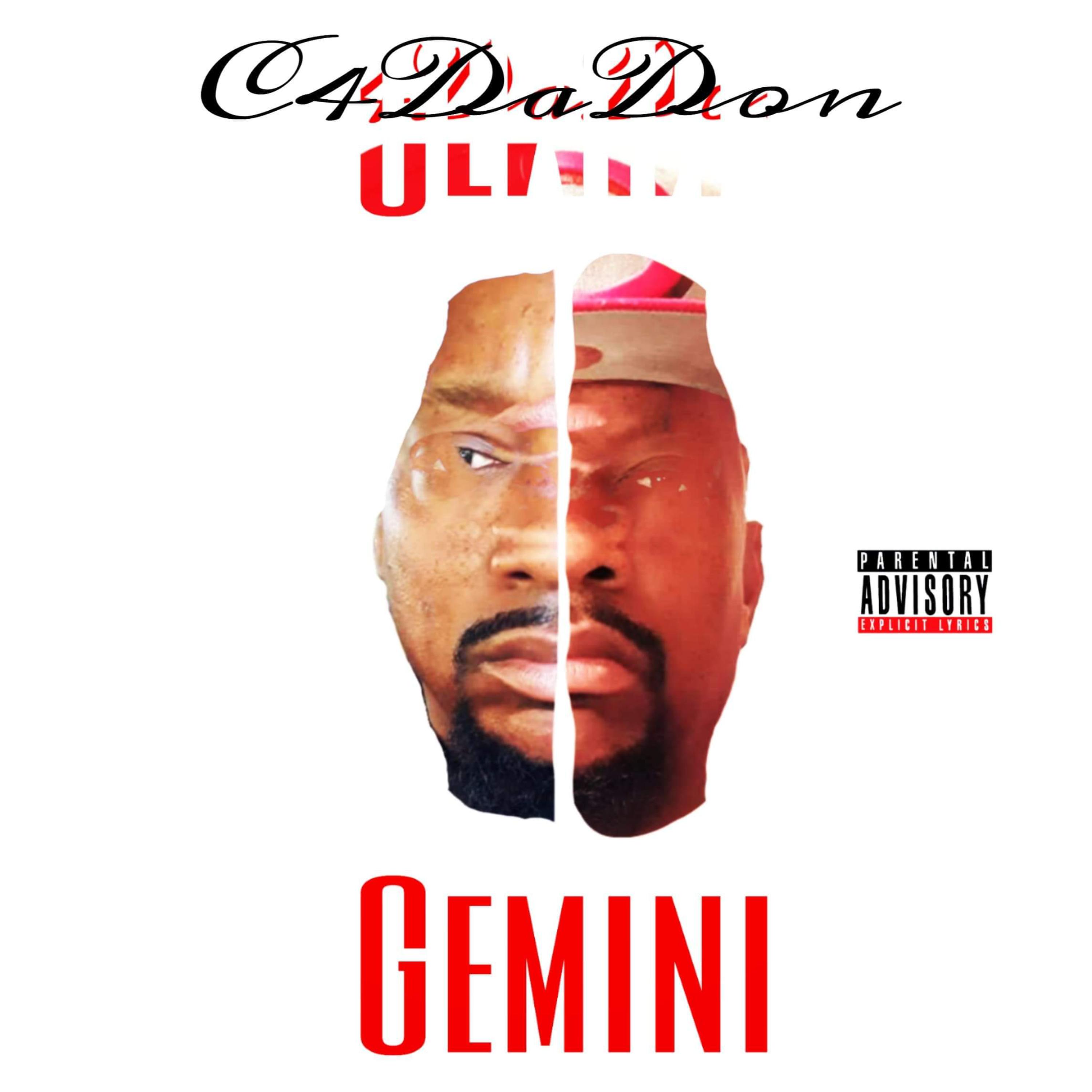 Gemini artwork
