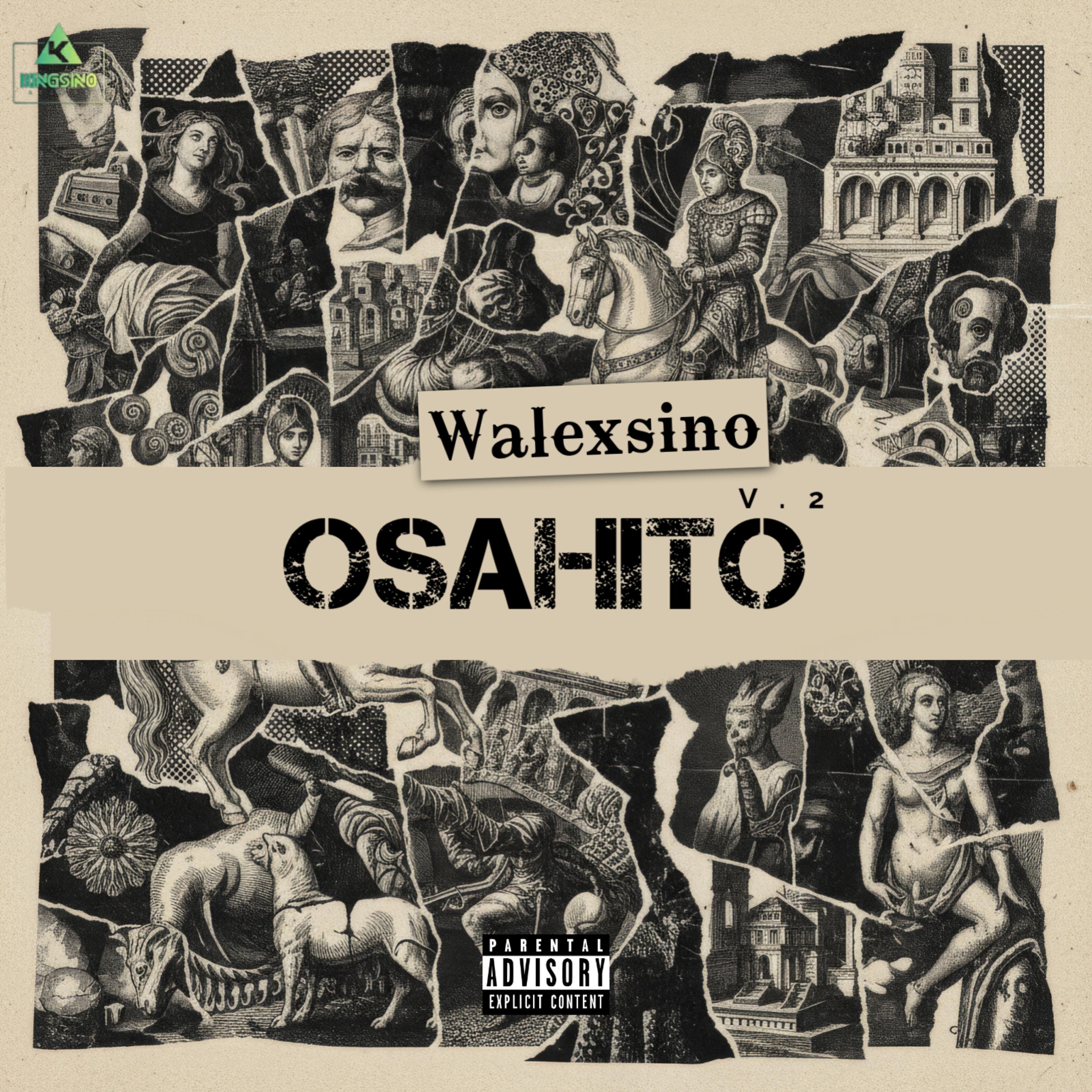 Wacko Drill by Walexsino cover art