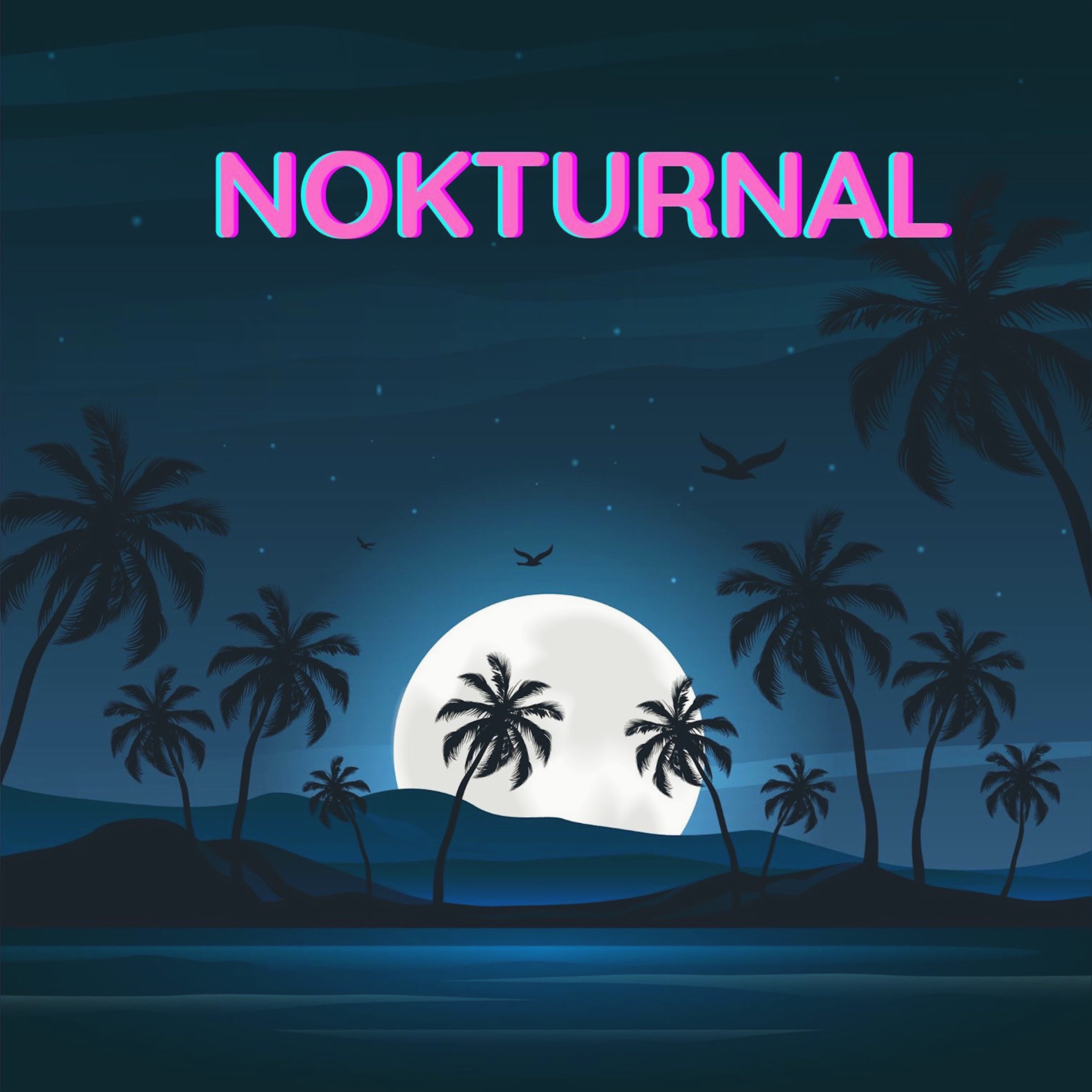 Nokturnal artwork