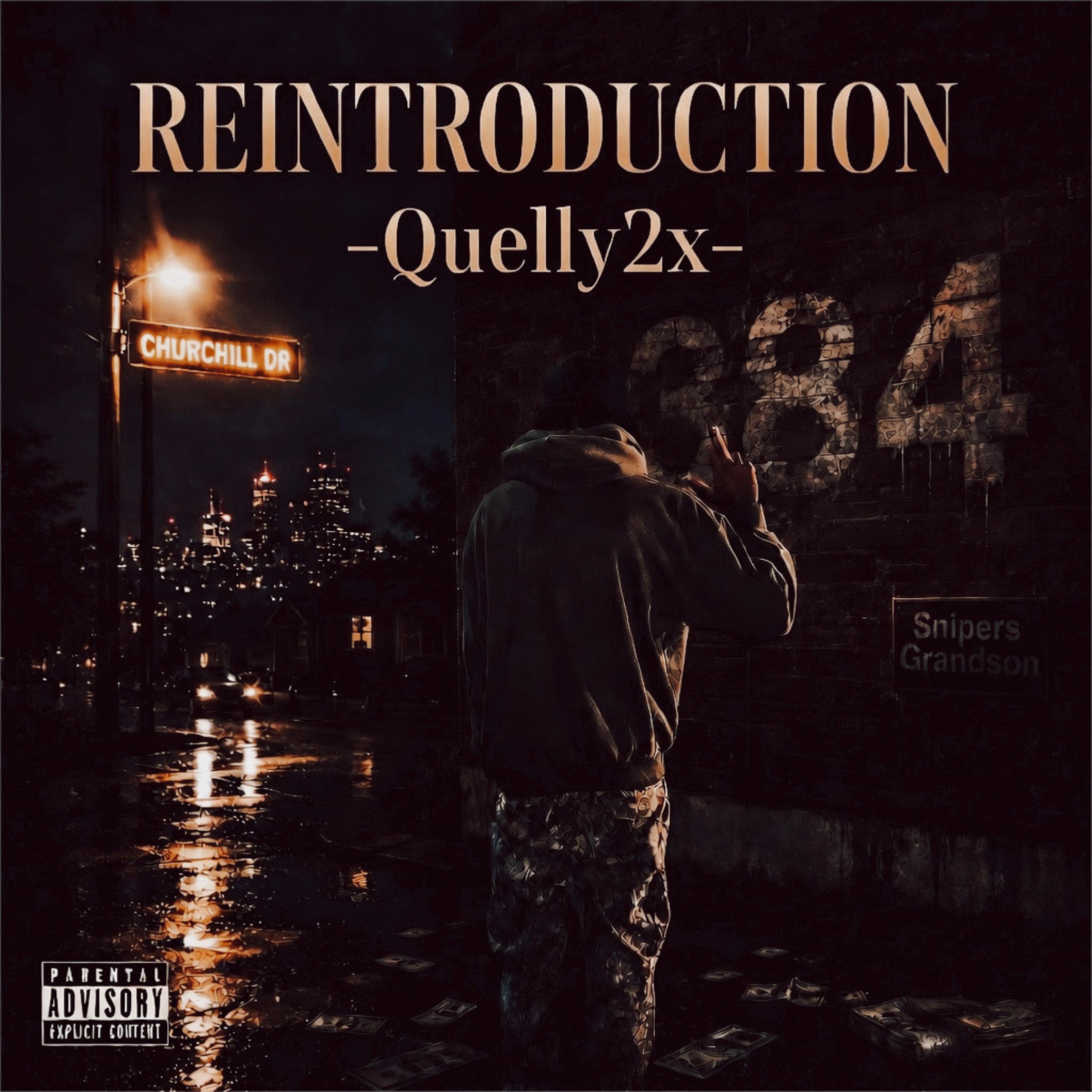REINTRODUCTION by Quelly2x cover art