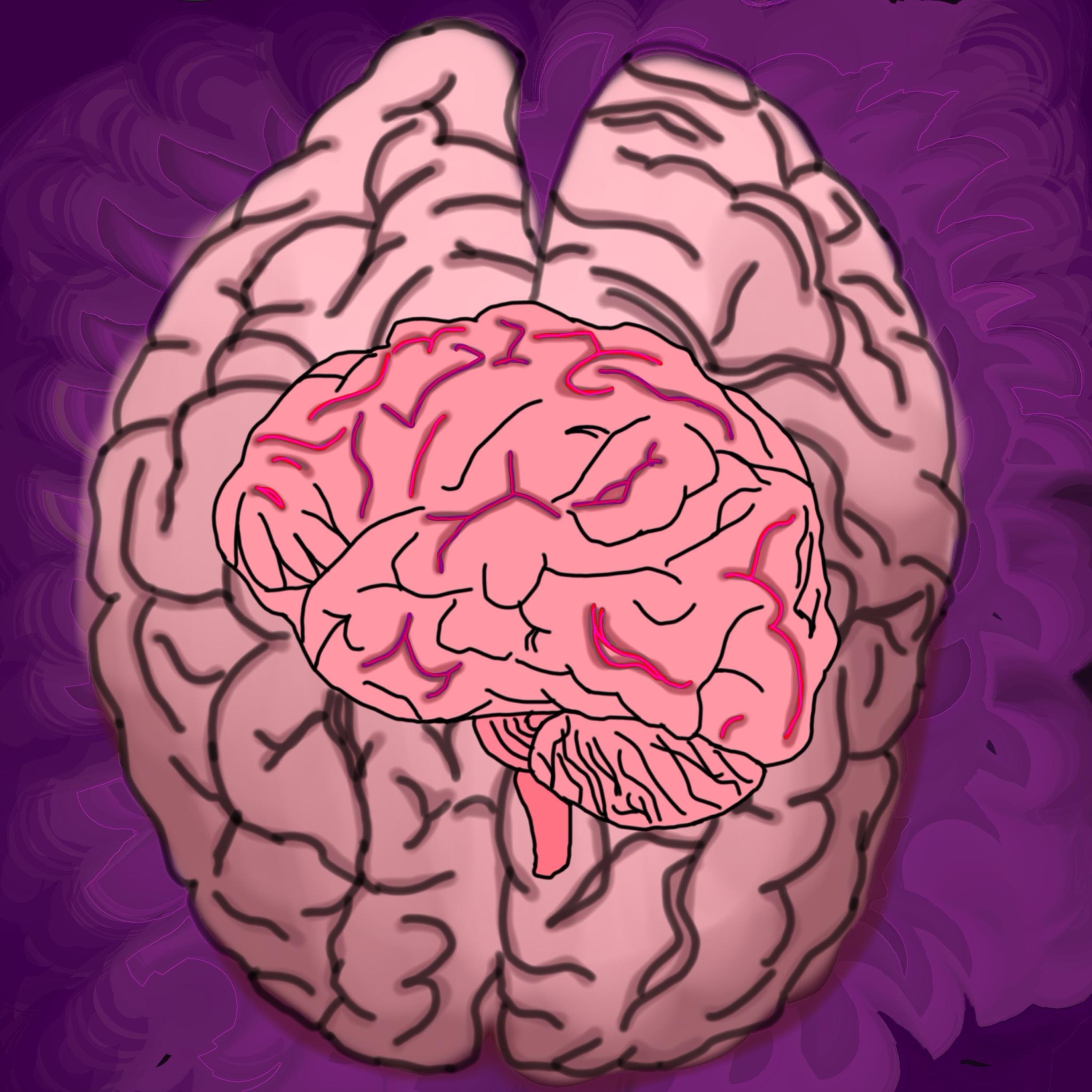 brain by BluntzHound cover art