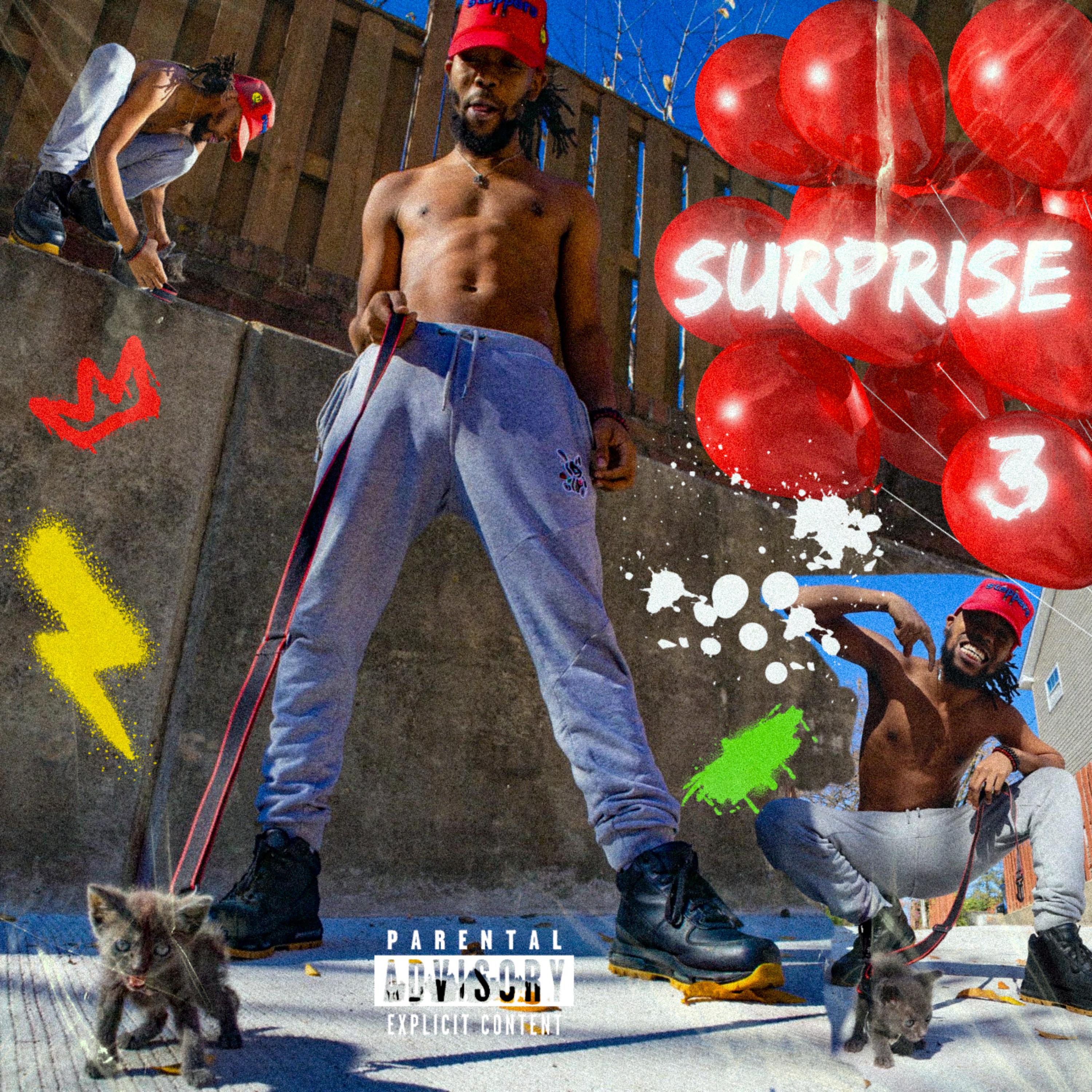 SURPRISE 3 artwork