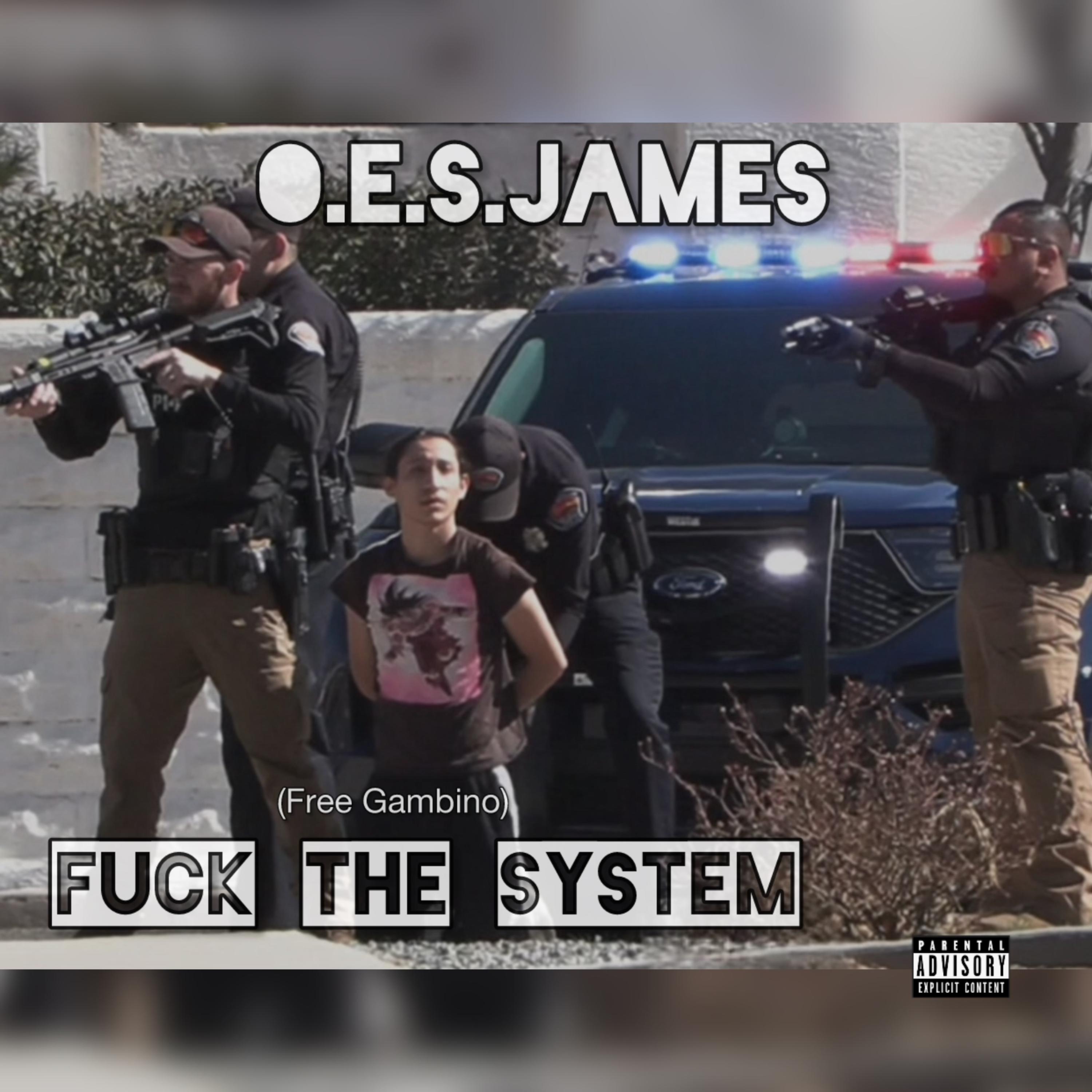 Fuck The System artwork