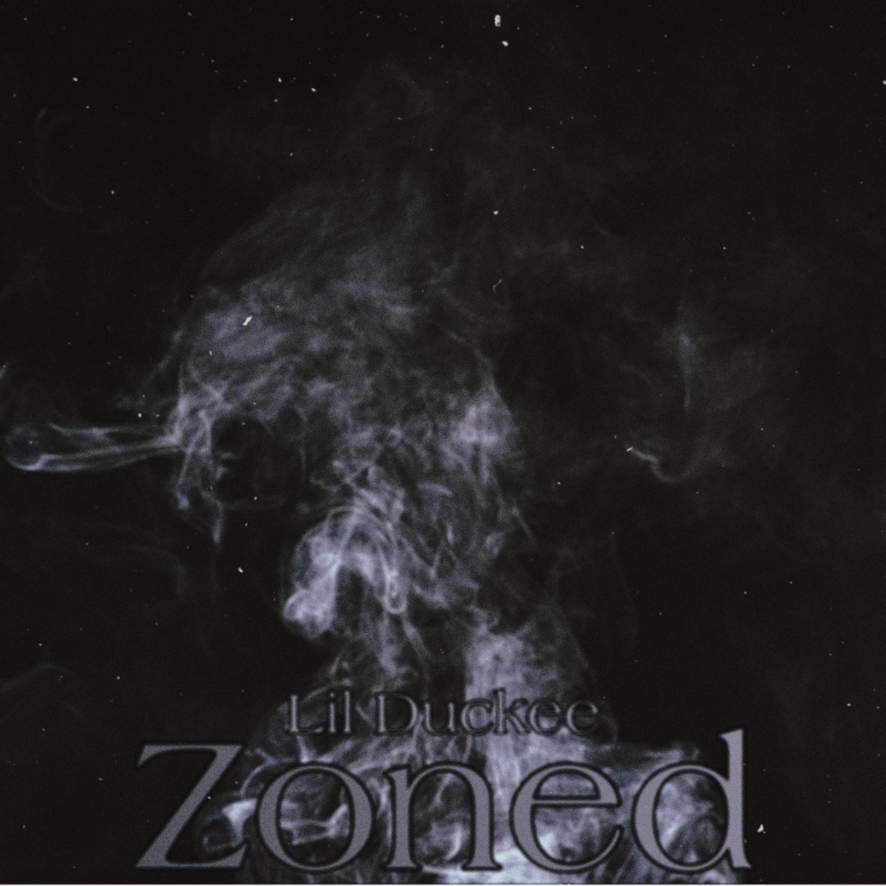 Zoned artwork