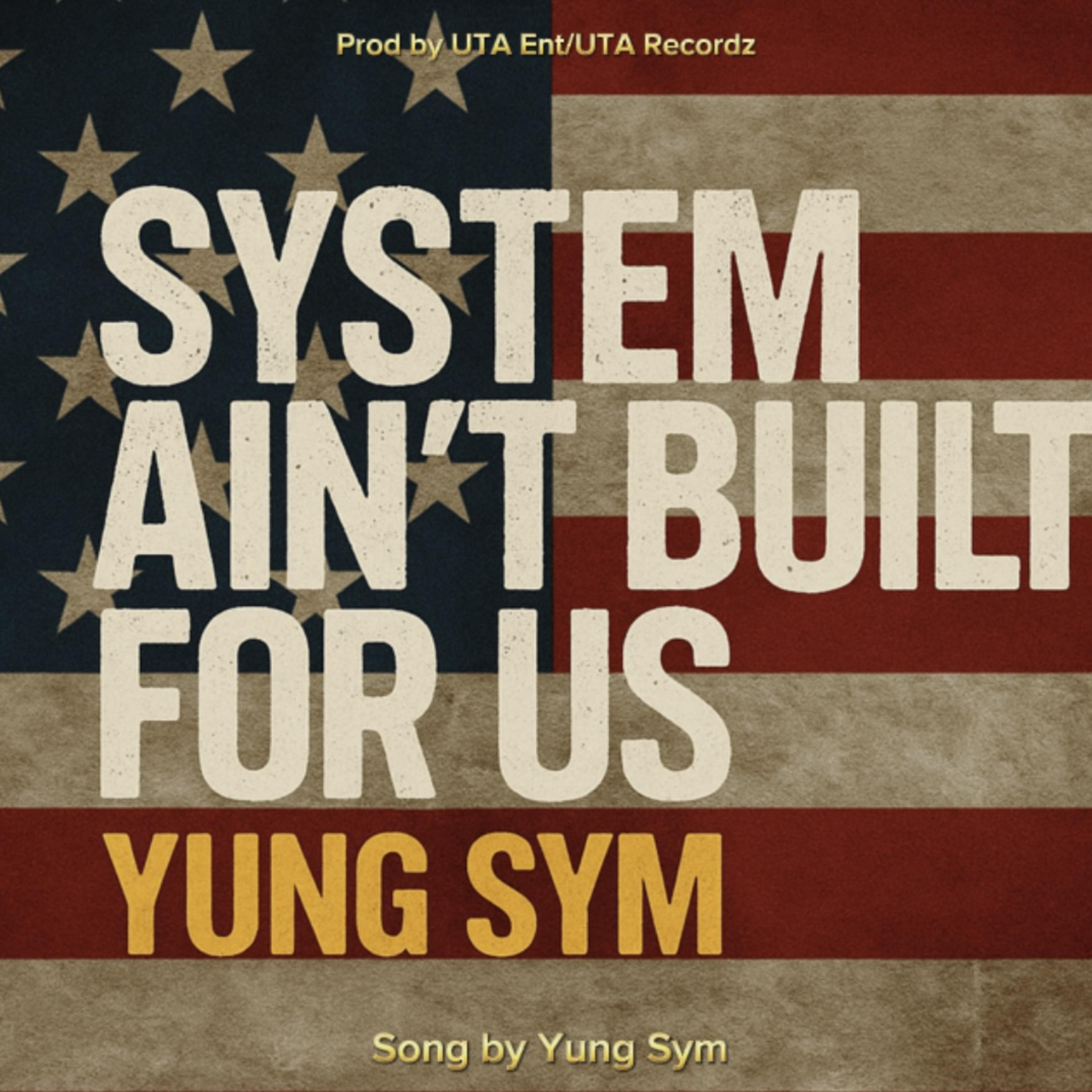System Ain’t Built For Us artwork