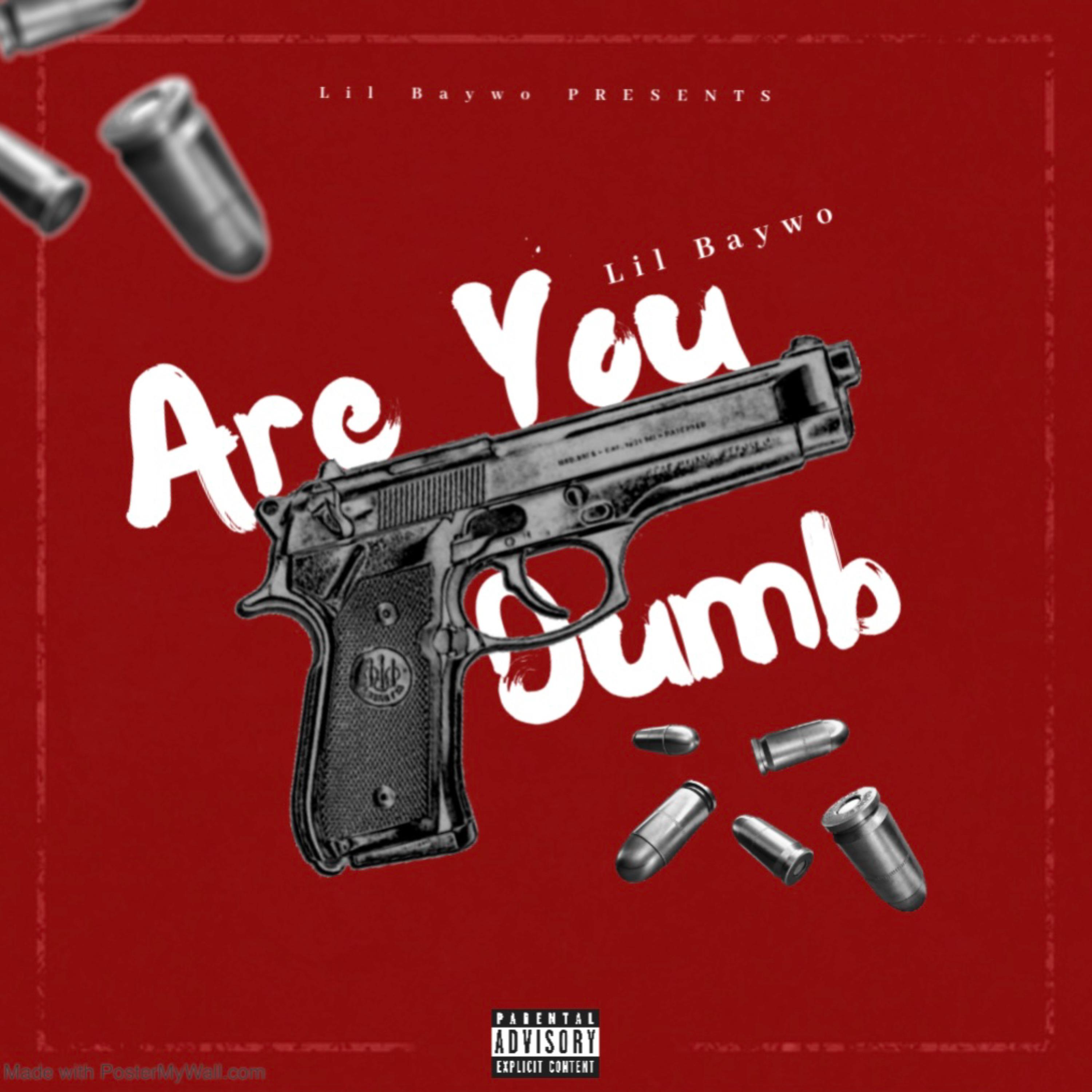 Are You Dumb artwork