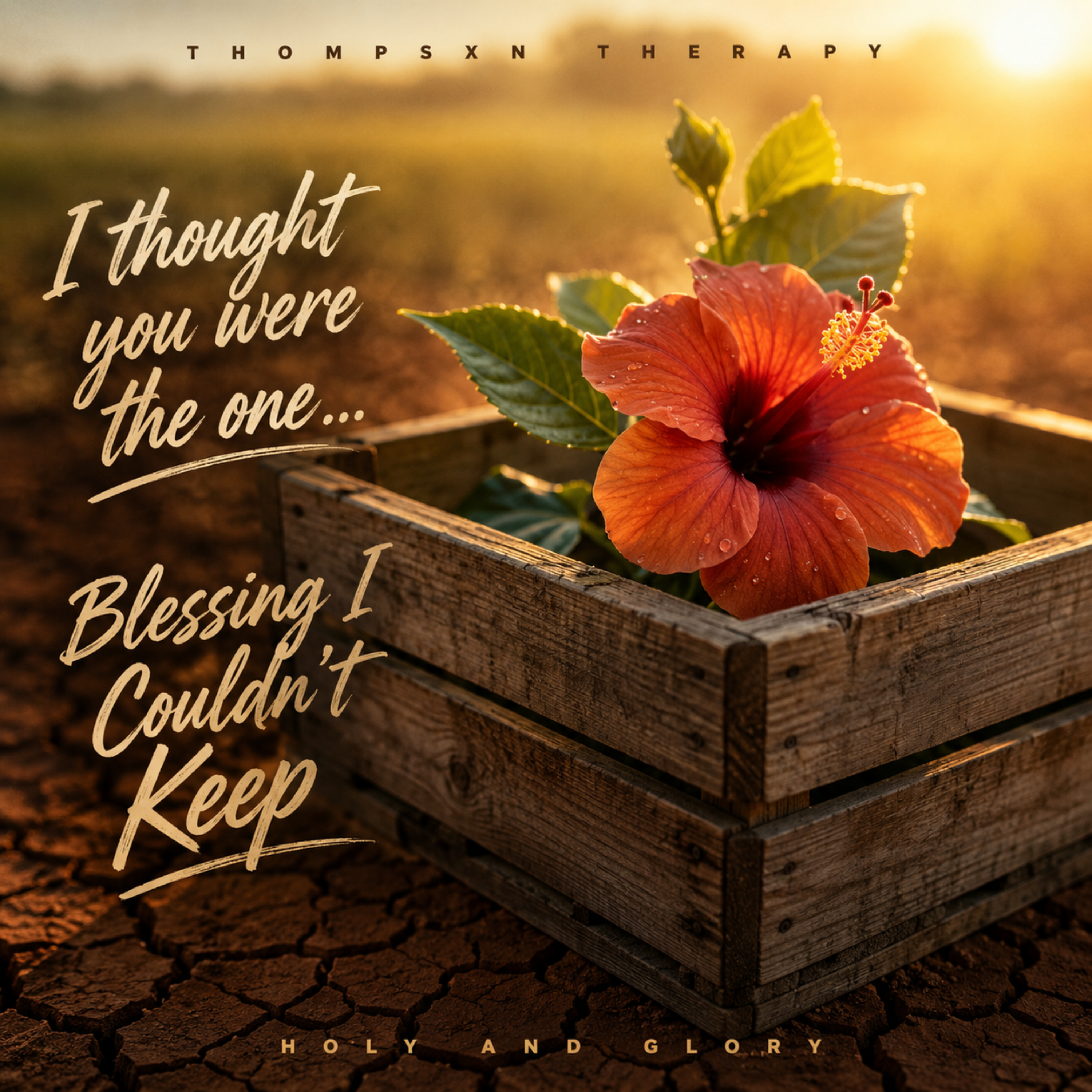 Blessing I Couldn't Keep by Thompsxn Therapy cover art