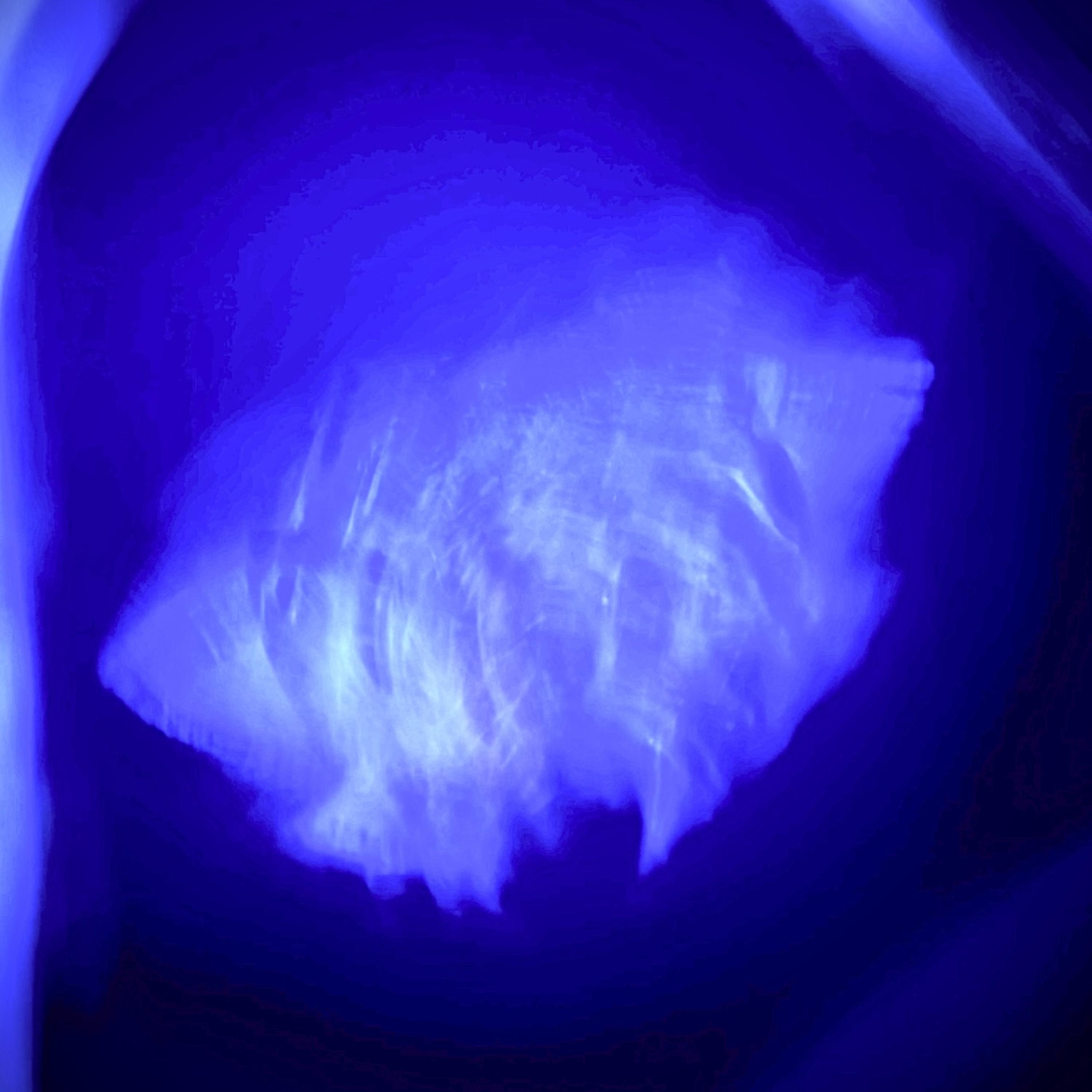 A Moth Flew Into… artwork