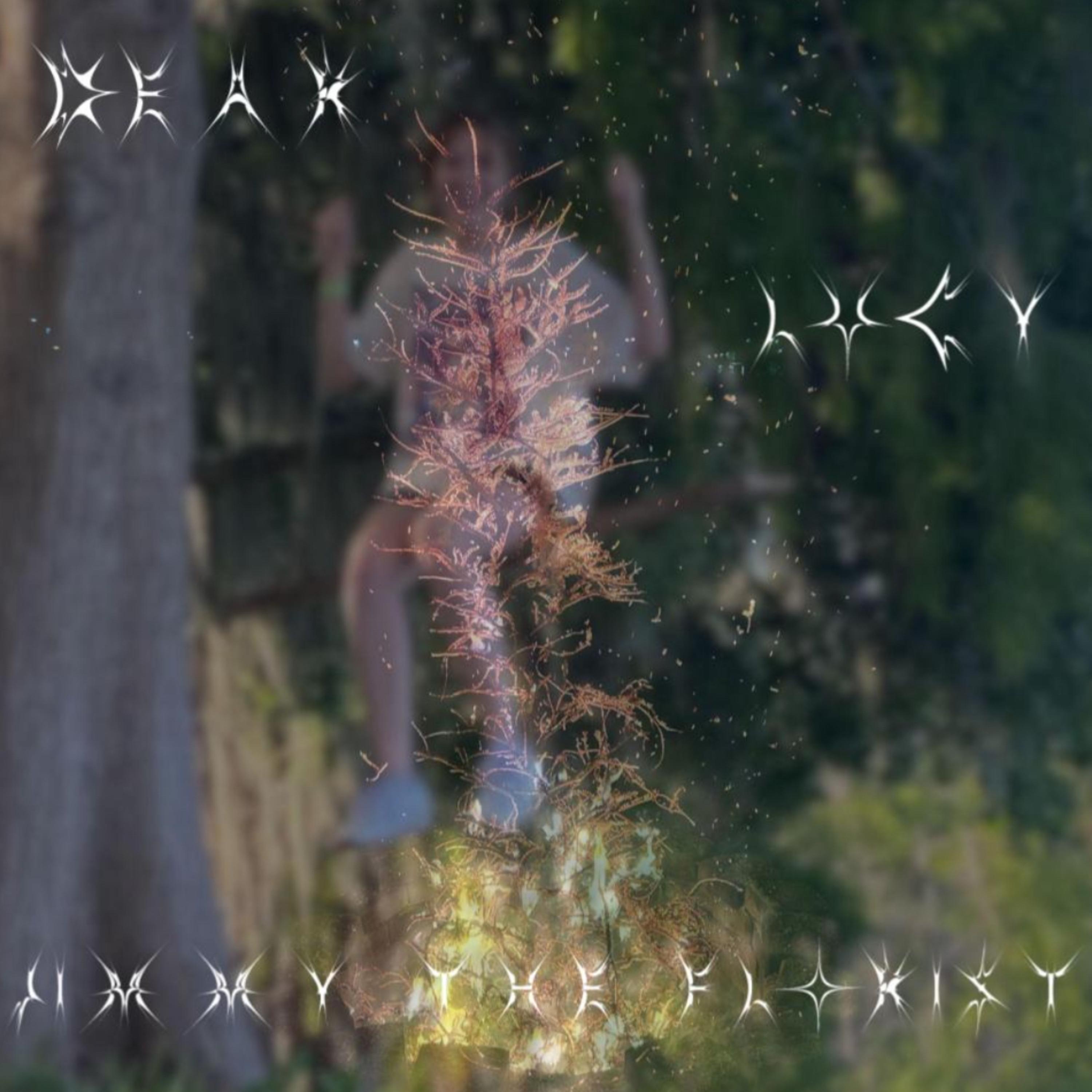 dear lucy, artwork