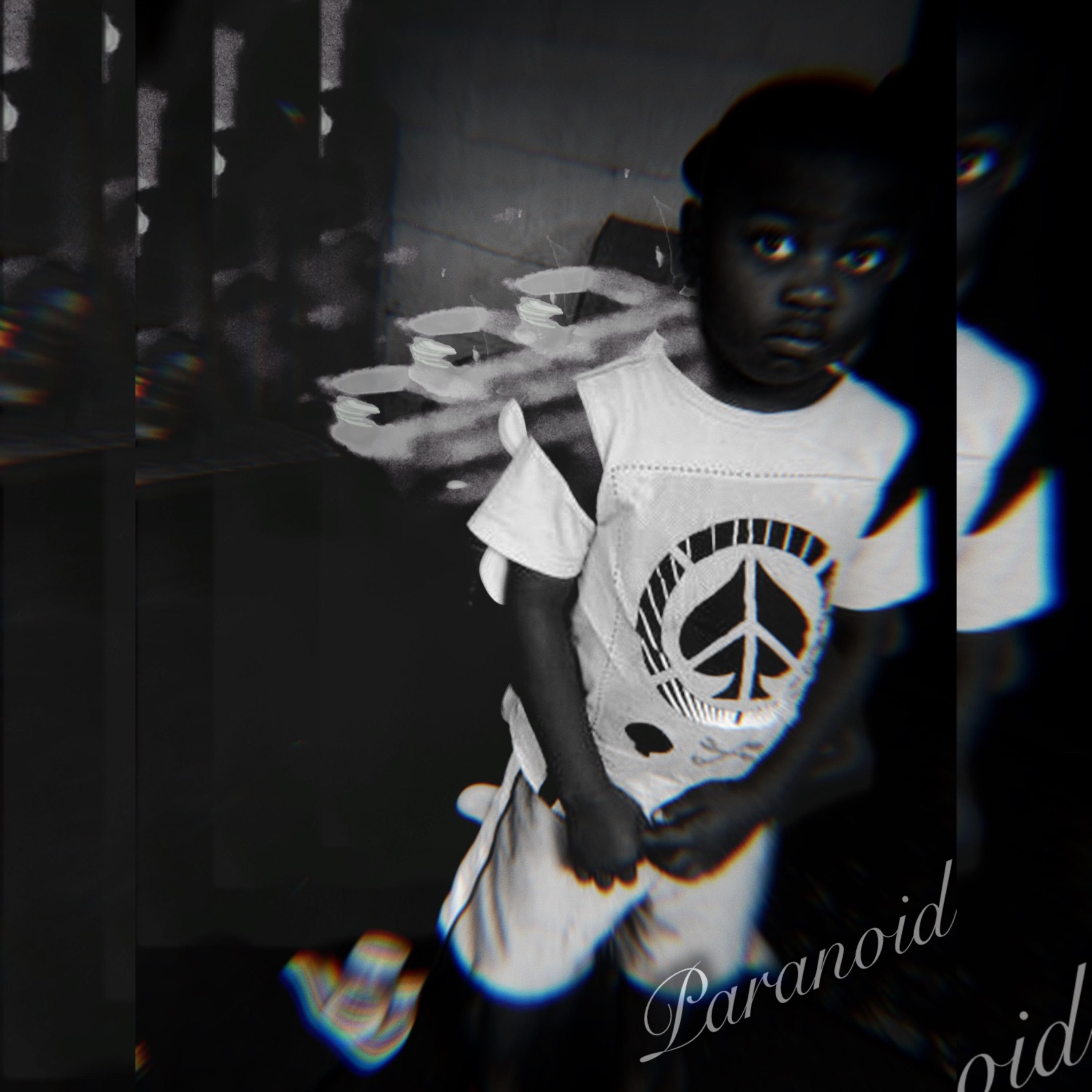 Paranoid artwork