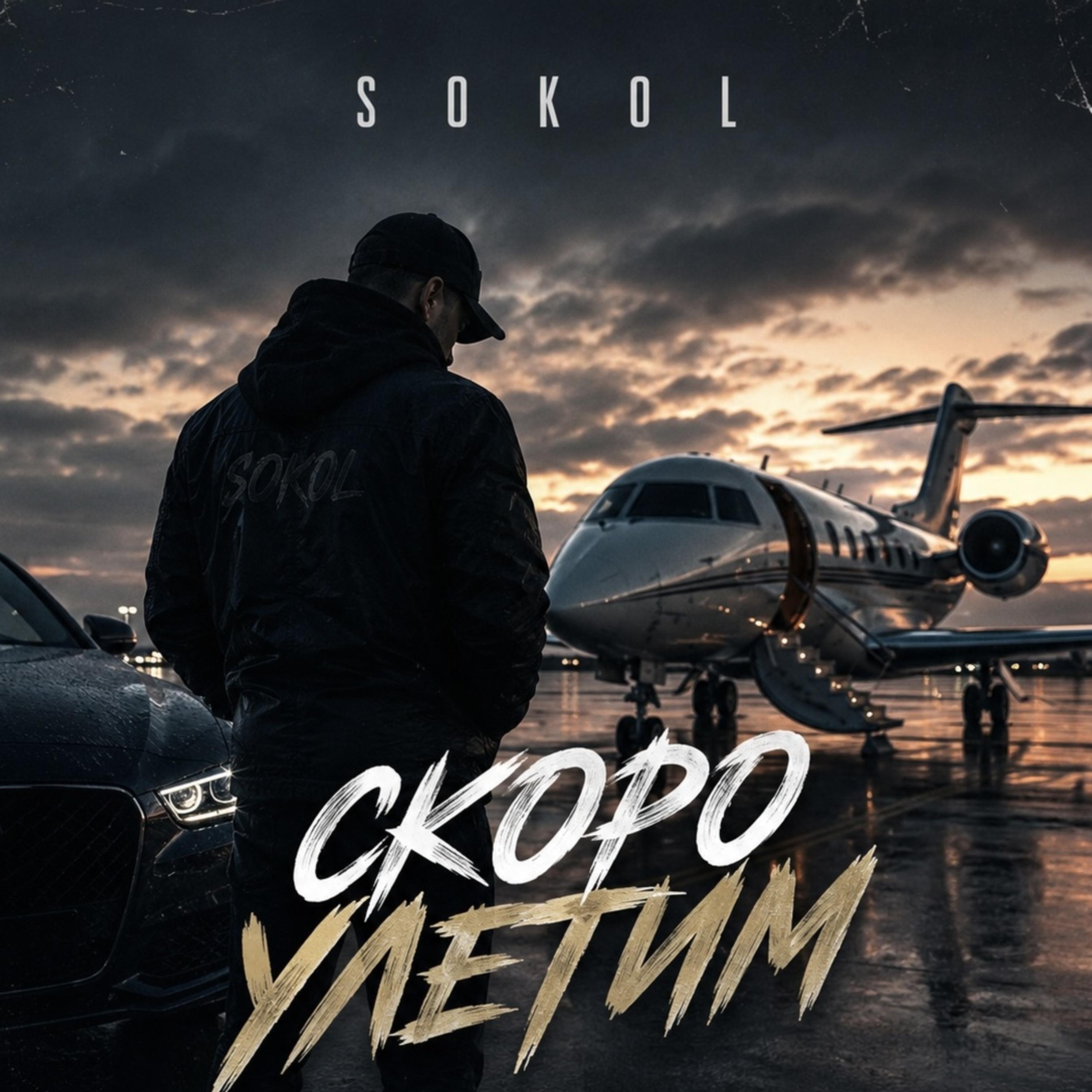 Скоро улетим by Sokol cover art